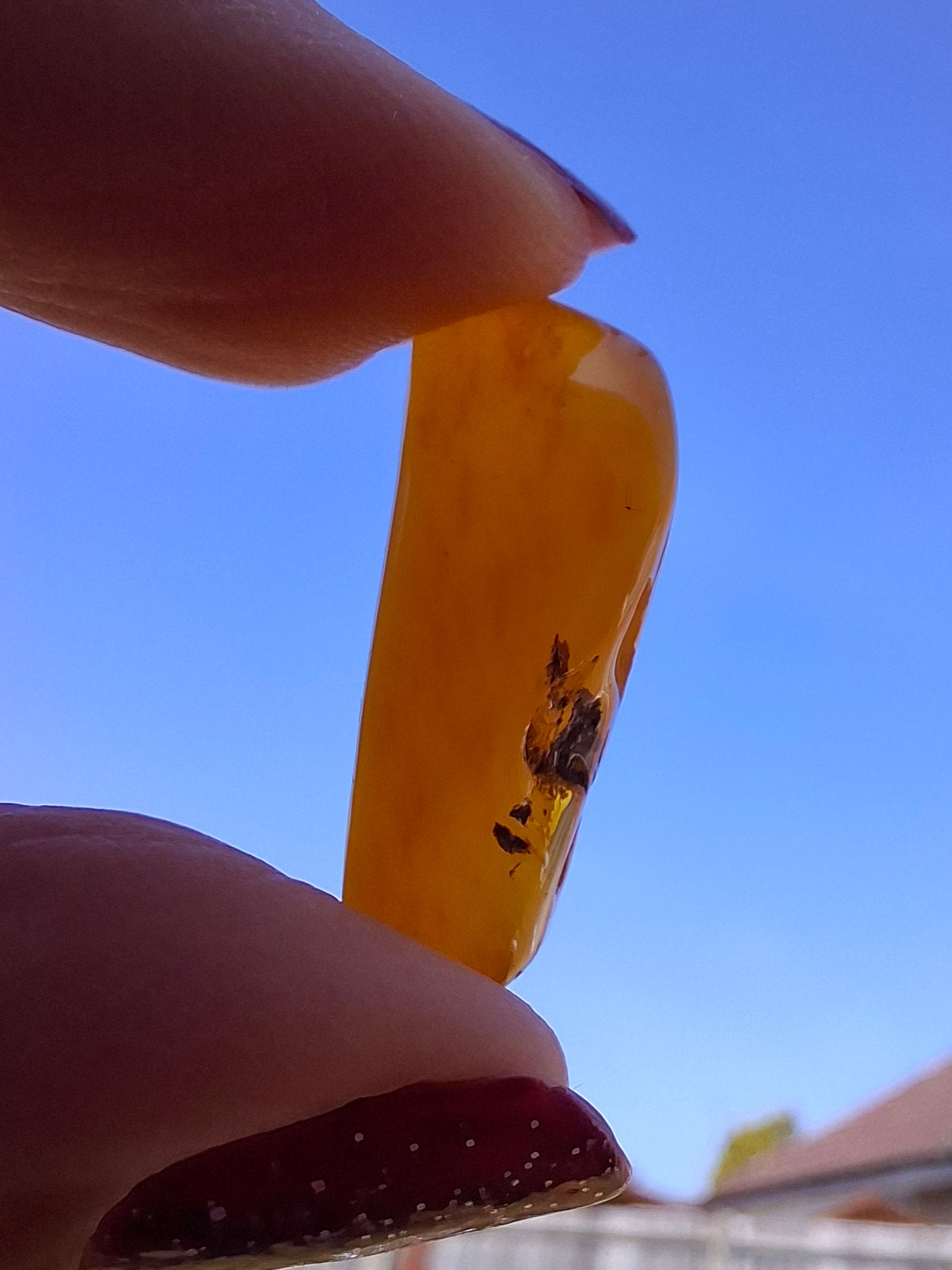 Baltic Amber, 1.74g, Fossil (Ref: A228)