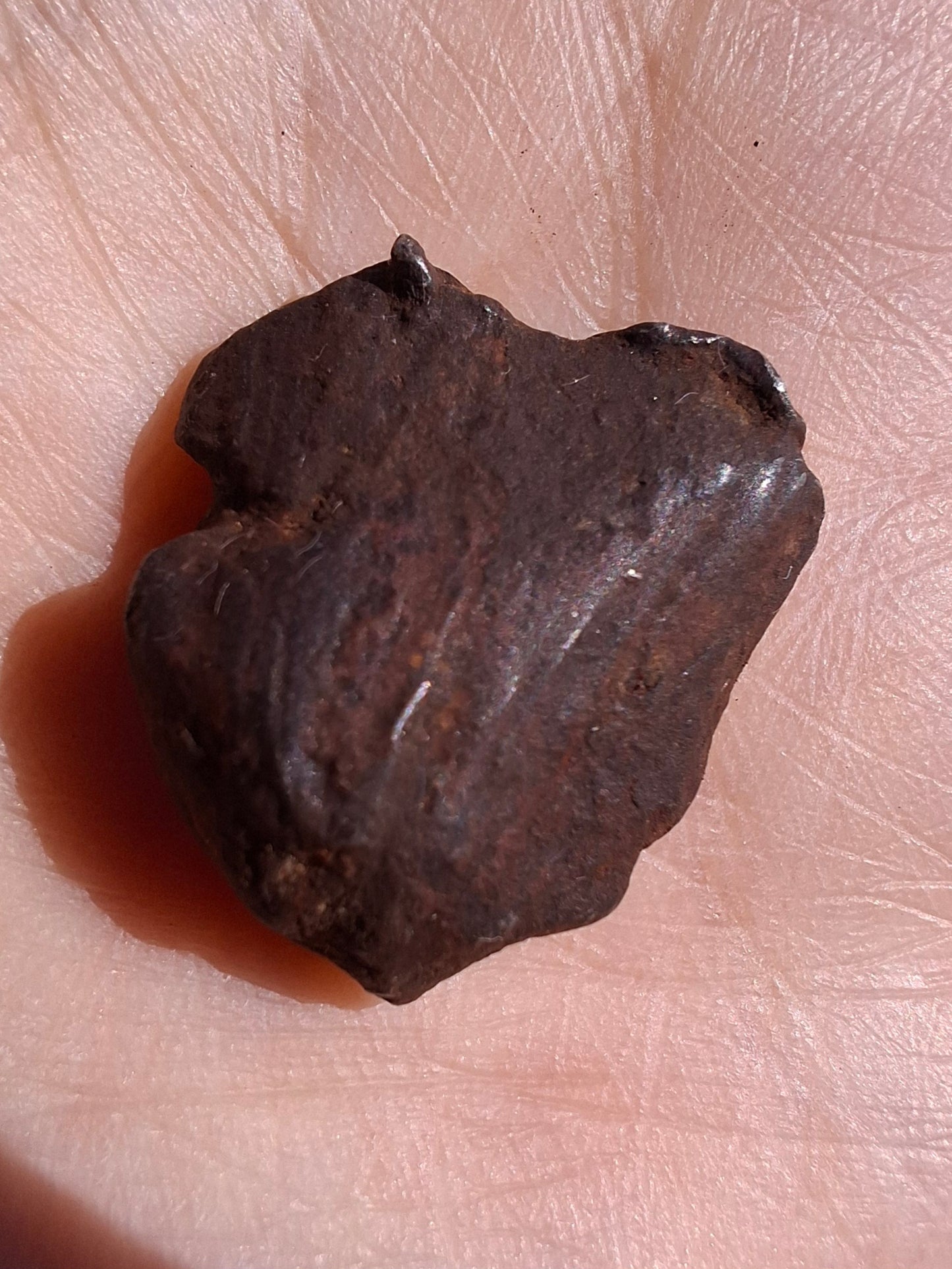 Gebel Kamil Iron Meteorite, 11.21g (Ref: K48)
