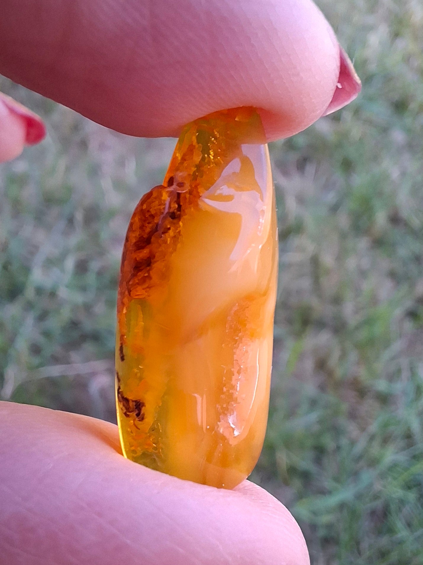 Baltic Amber, 1.68g, Fossil (Ref: A233)
