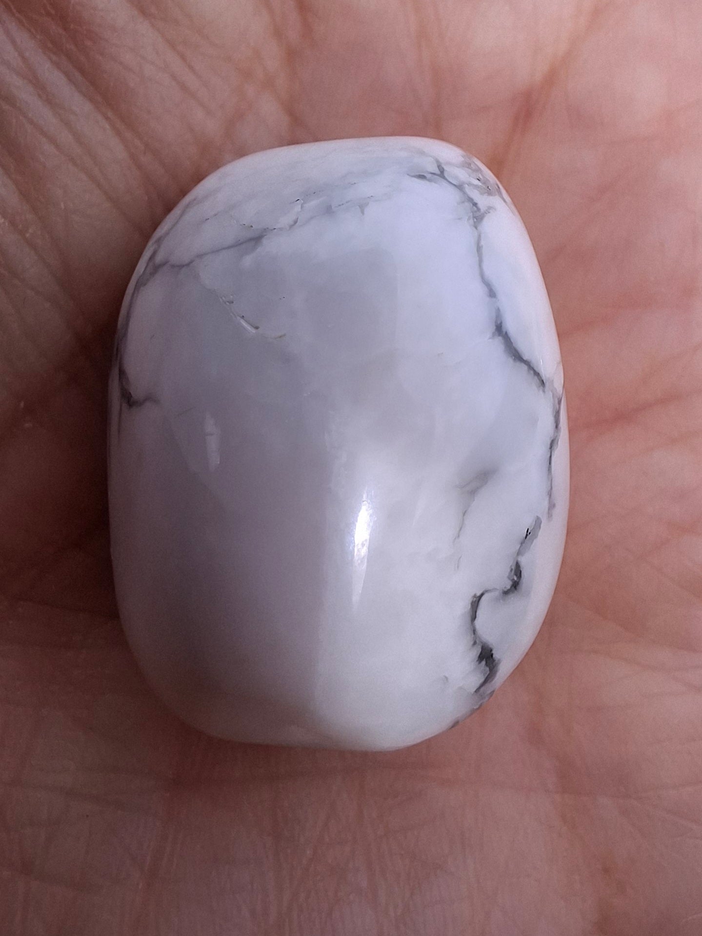 Howlite, Tumble Stone, Crystal (Ref: T39)