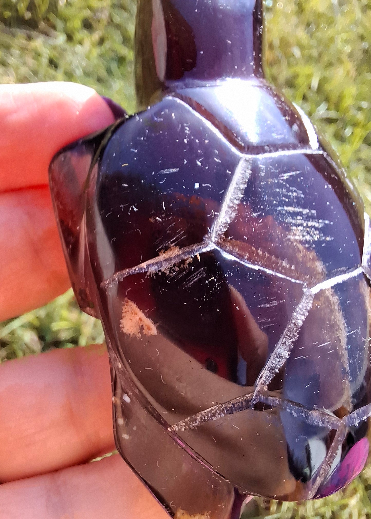 Red Amber Turtle, 52.00g, Carving, Fossil (Ref: TT3)