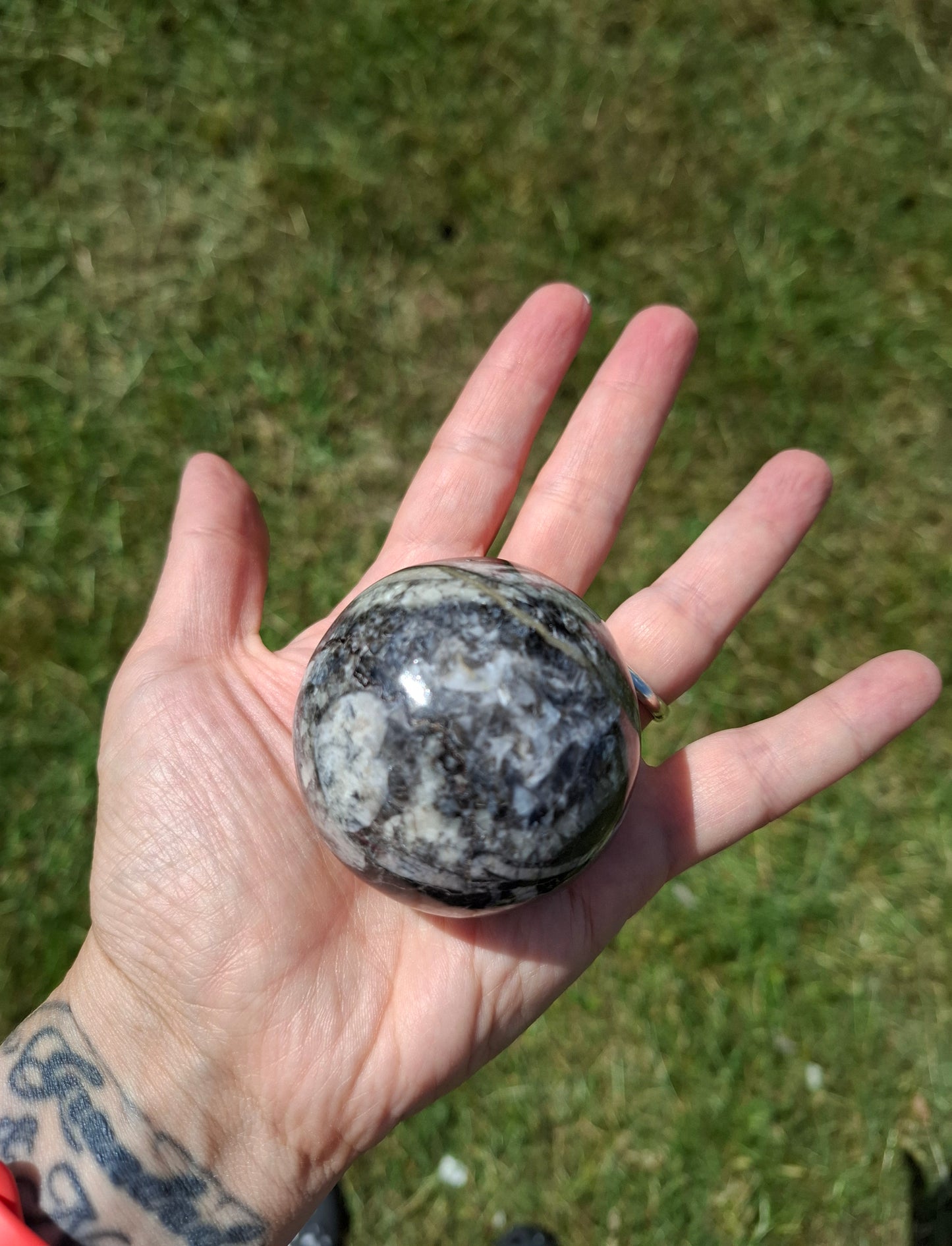 Orthoceras Sphere, Fossil (Ref: OS4)