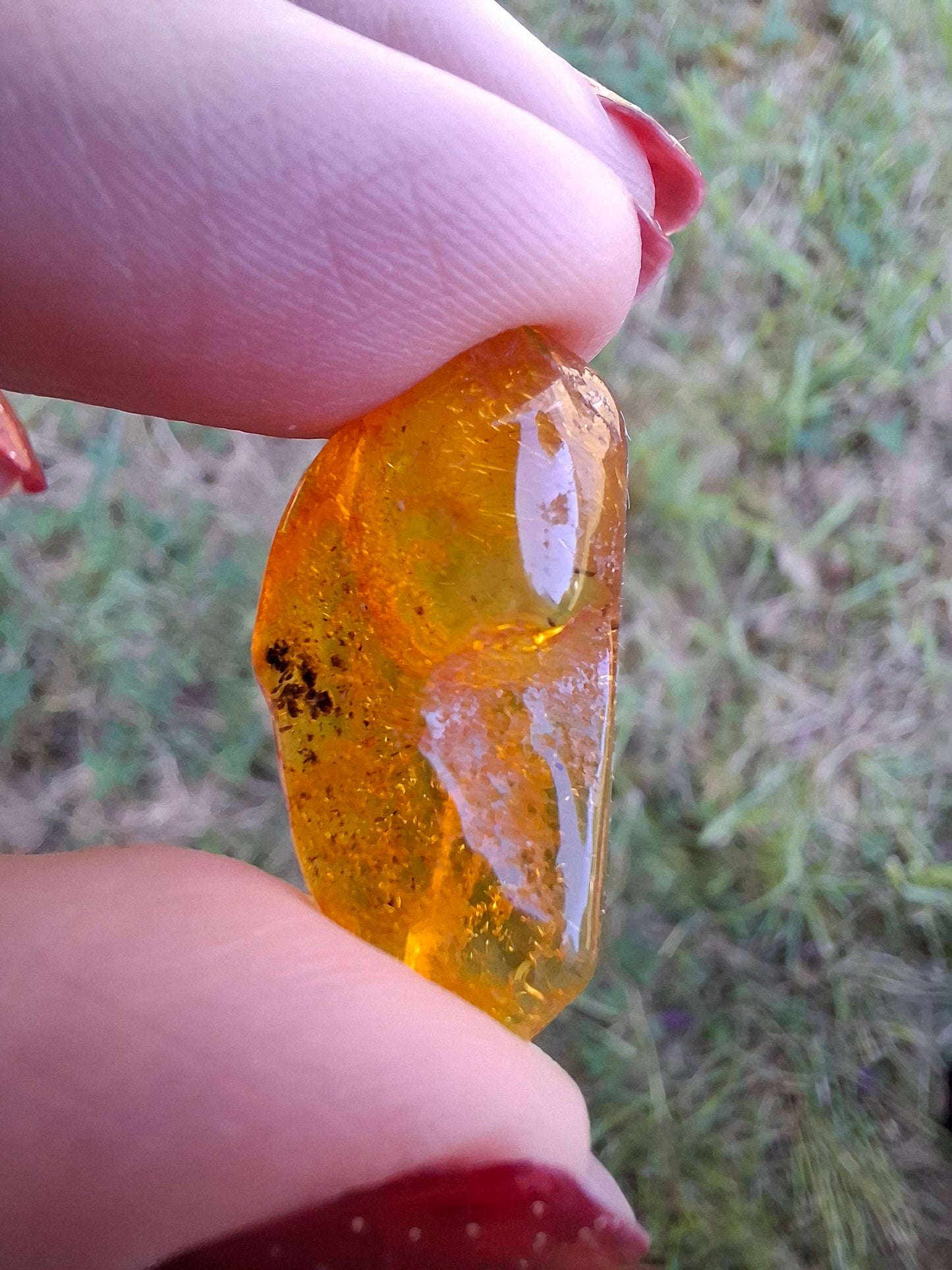 Baltic Amber, 1.39g, Fossil (Ref: A181)