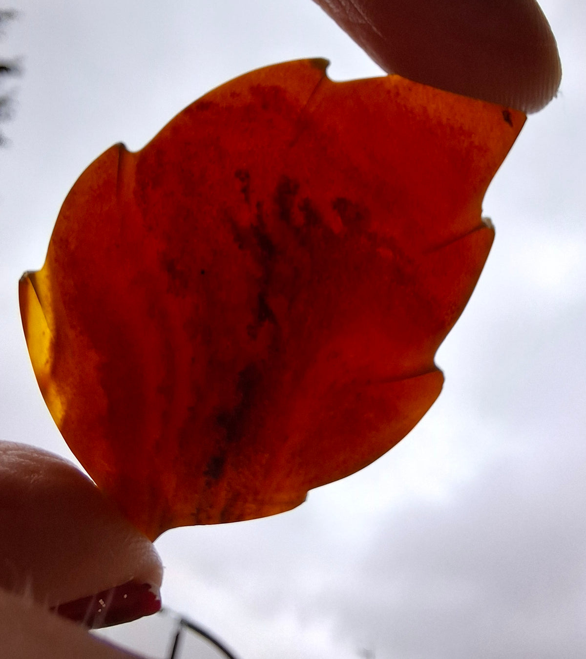 Red Amber Leaf Carving, 8.35g, Fossil (Ref: Leaf2)