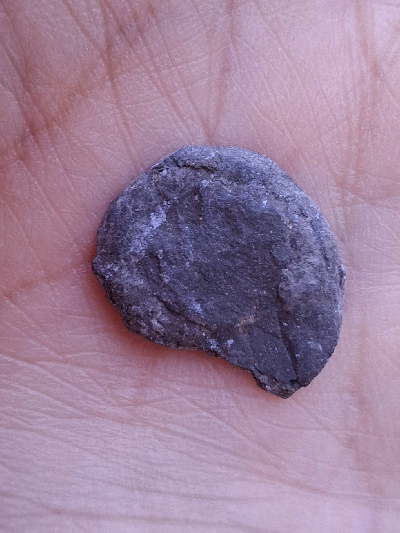Small Haematite Ammonite HALF, 1.10g, Fossil (Ref: MA9)