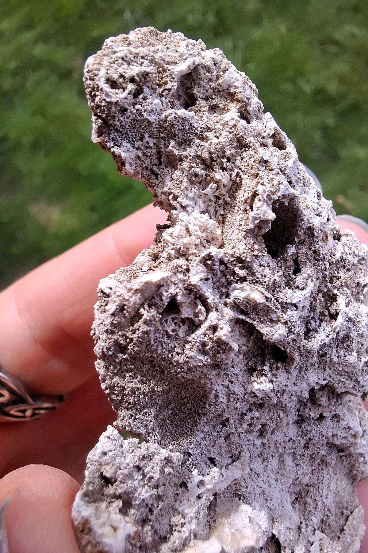 Fossilised Coral replaced by Chalcedony/Agate, Fossil (Ref: FCA2)