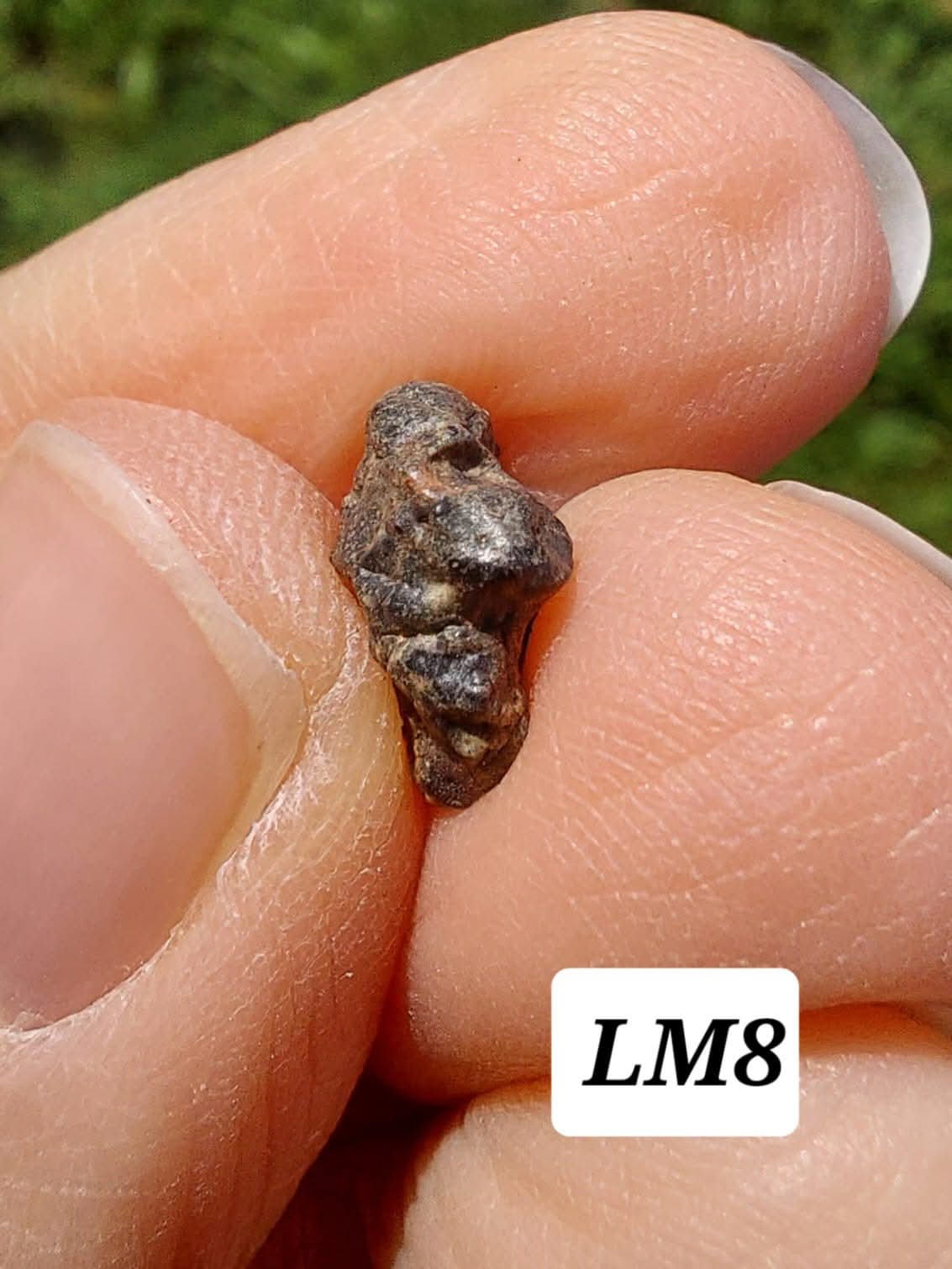 Lunar Meteorite, 0.55g, 'Moon Rock' (Ref: LM8)