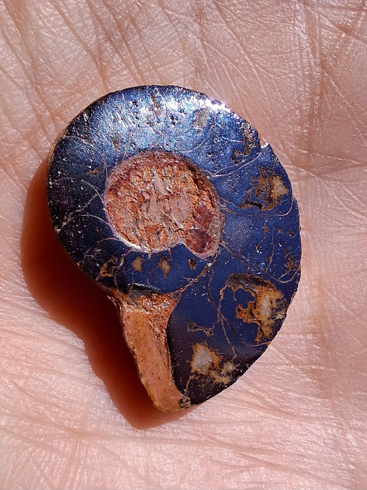 Small Haematite Ammonite HALF, (2.91g), Fossil (Ref: MA1)
