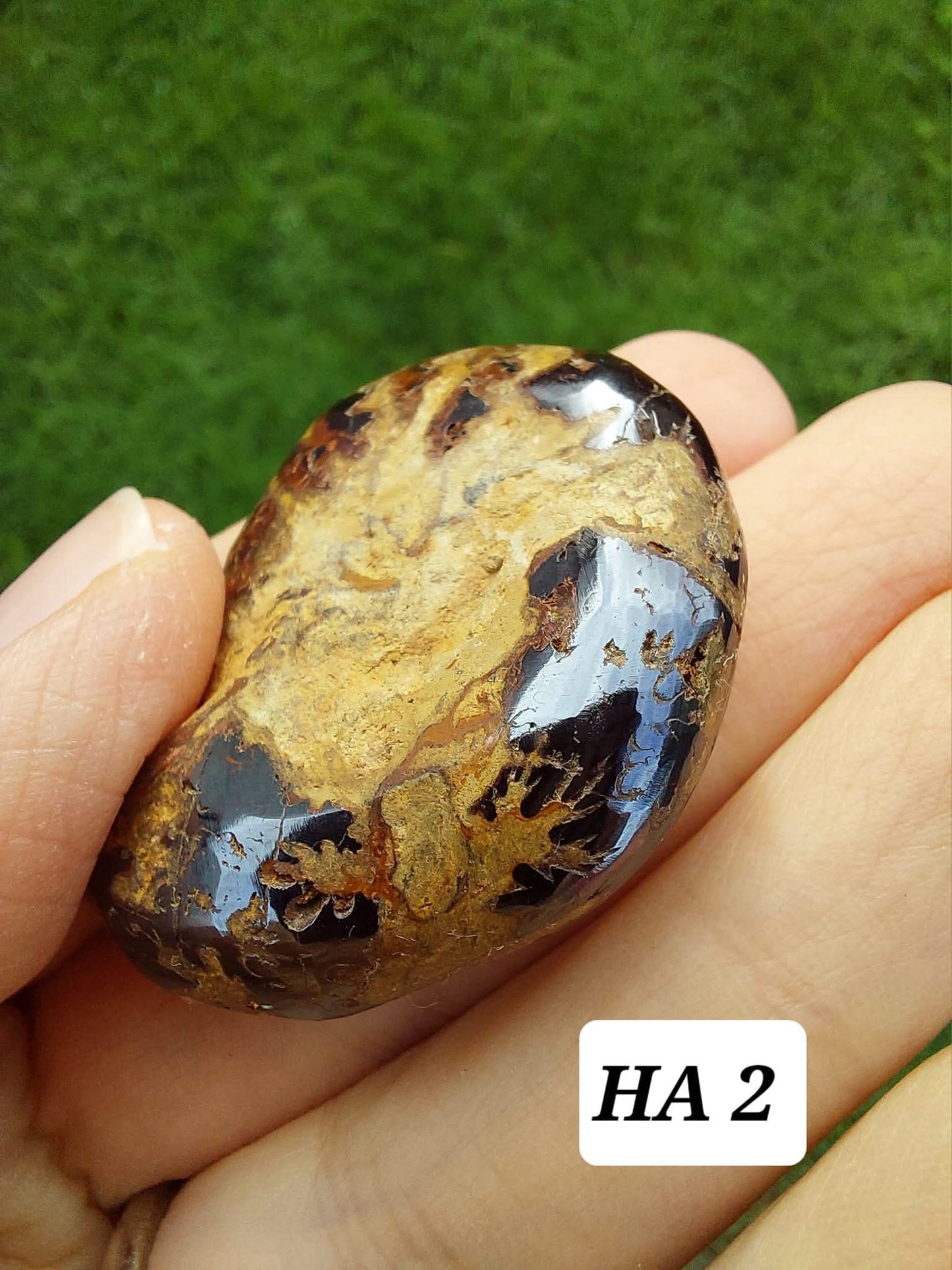 Hematite Ammonite, 22.72g, Fossil (Ref: HA2)