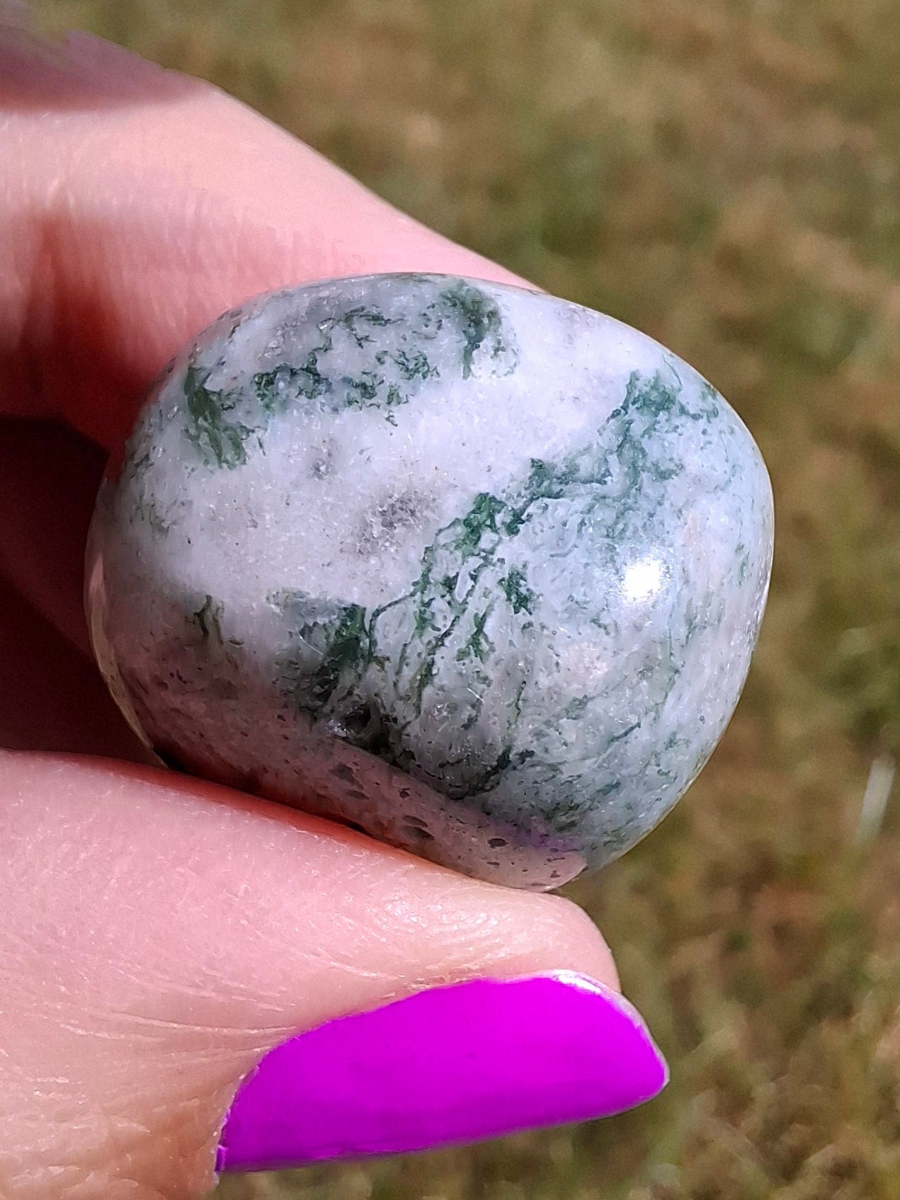 Tree Agate, Tumble Stone, Crystal (Ref: T7)