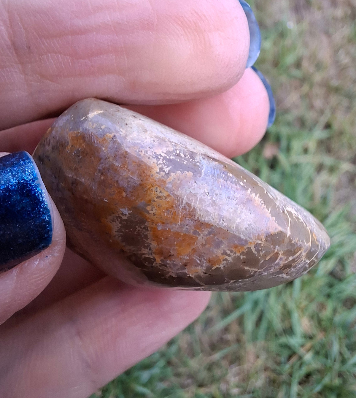 Polished Sea Urchin, Fossil (Ref: SU5)