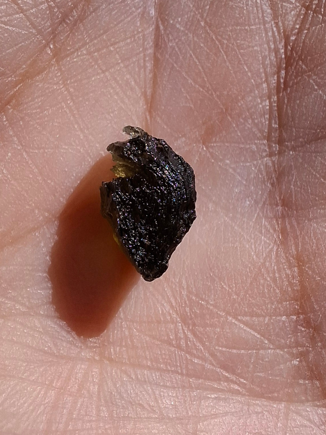 Moldavite Piece, 0.60g, Tektite (Ref: 1408)
