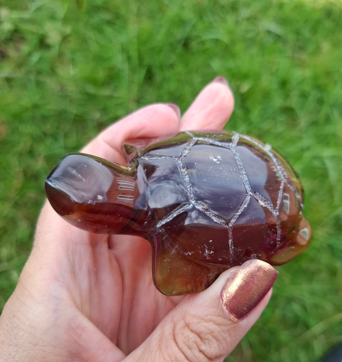 Red Amber Turtle, 49.15g, Carving, Fossil (Ref: TT1)