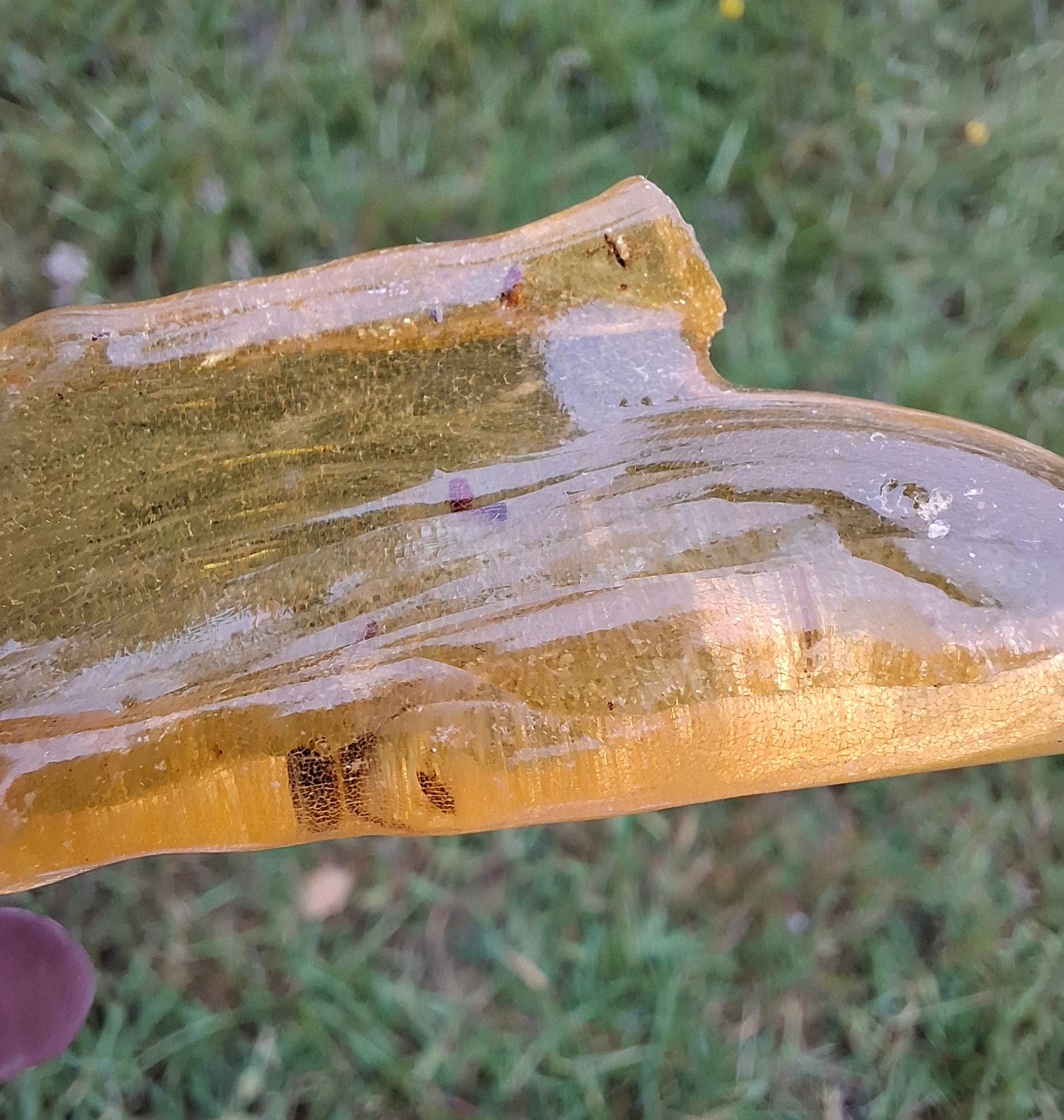 Copal Young Amber with INSECTS inside, 10.79g, Fossil (Ref: CA14)