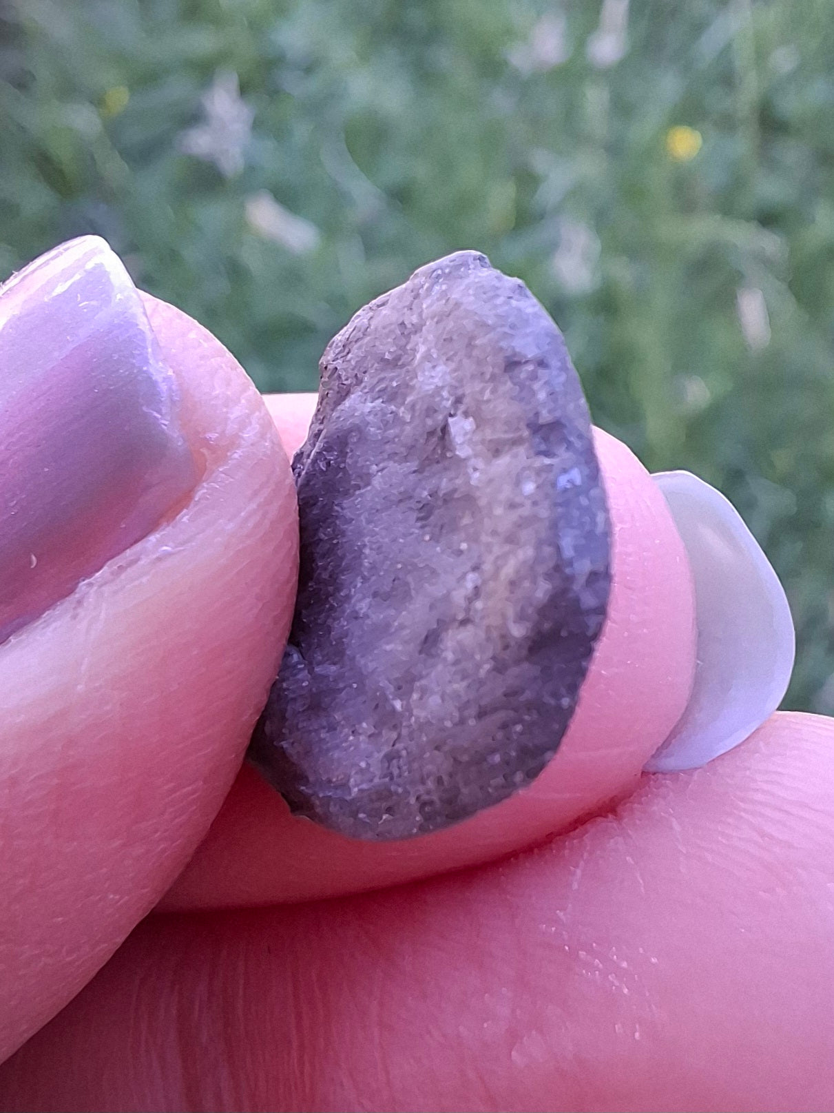 Small Haematite Ammonite HALF, 1.10g, Fossil (Ref: MA9)