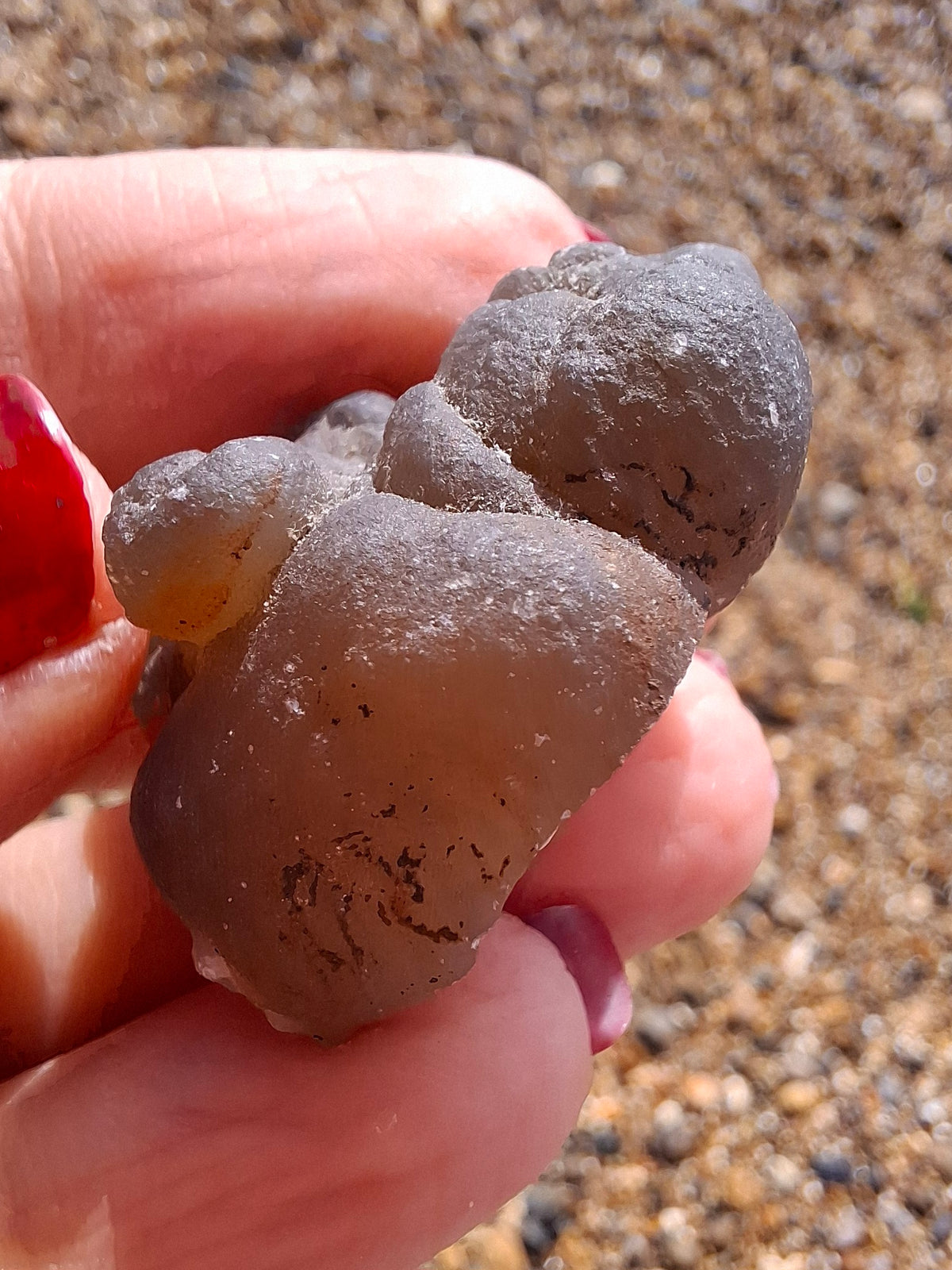 Nebula Chalcedony, 18.80g, Fossil (Ref: NC9)