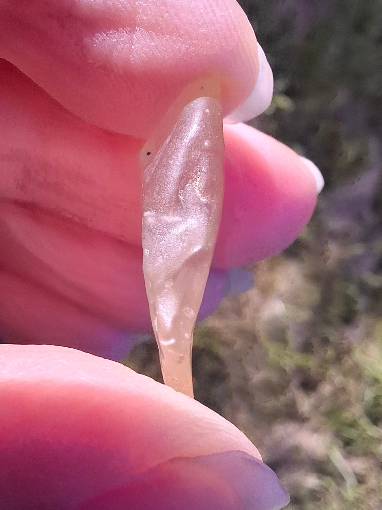 Libyan Desert Glass small Piece, 1.85g, Tektite (Ref: LE256)