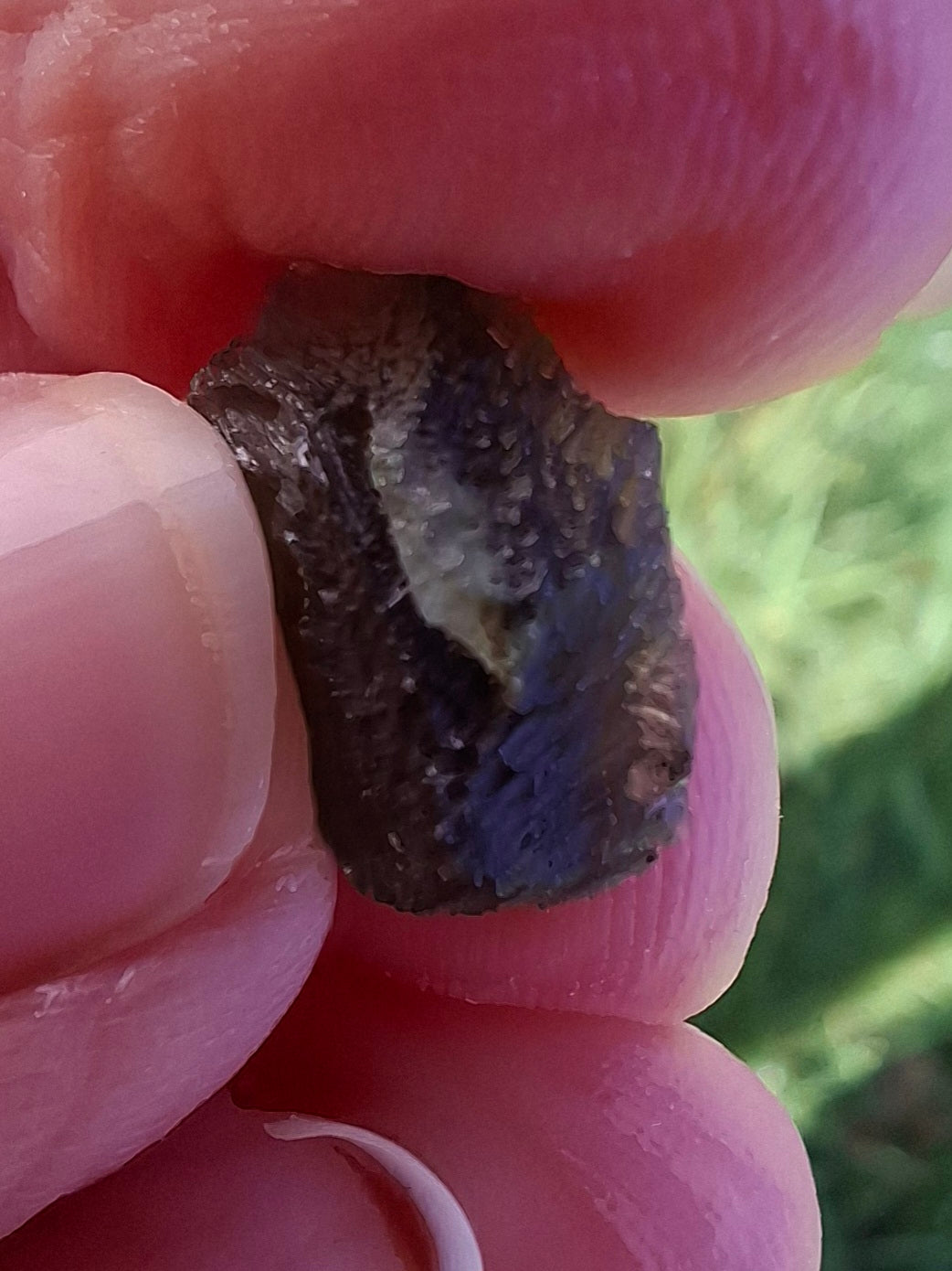 Moldavite Piece, 0.96g, Tektite (Ref: 1330)