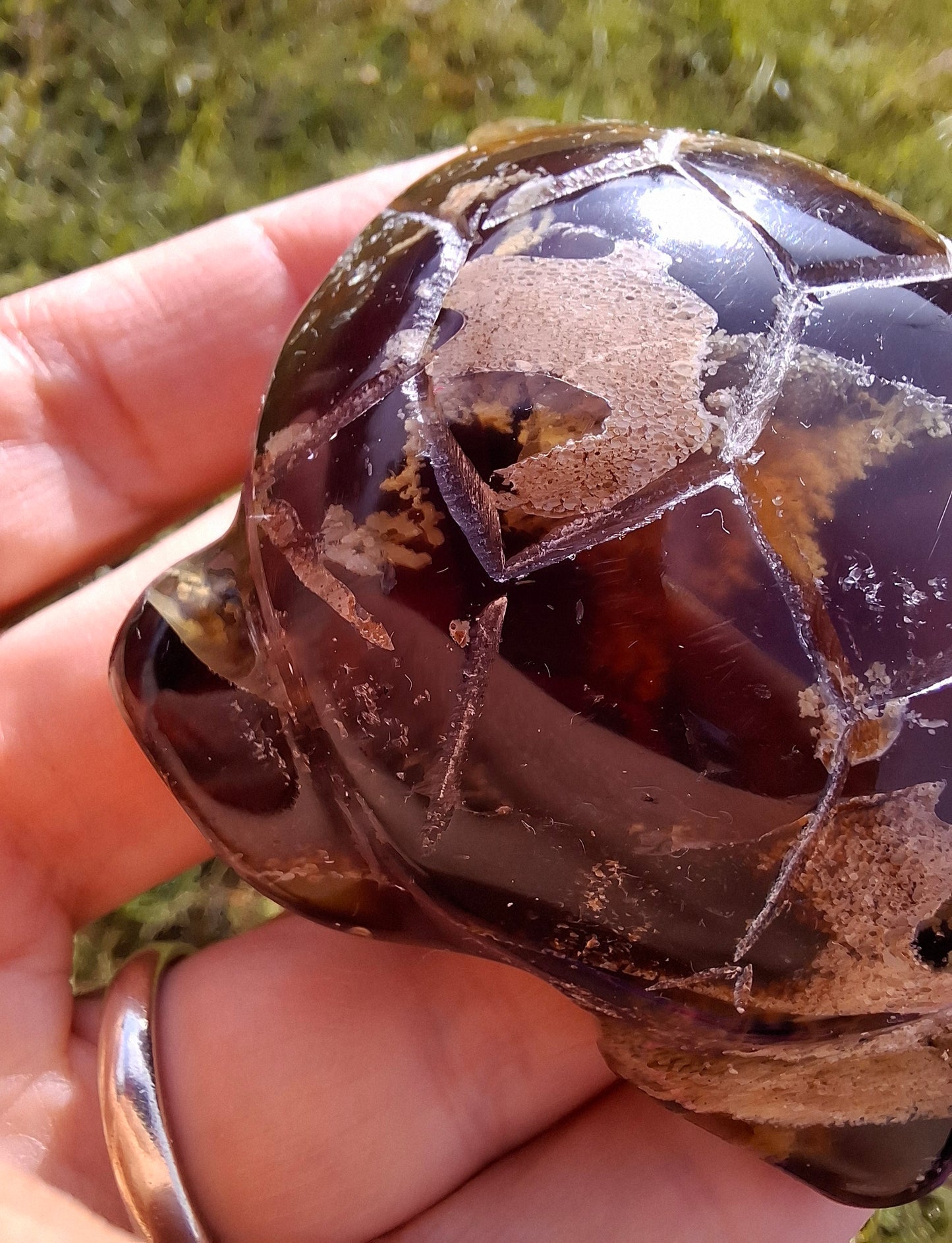 Red Amber Turtle, 56.87g, Carving, Fossil (Ref:TT7)
