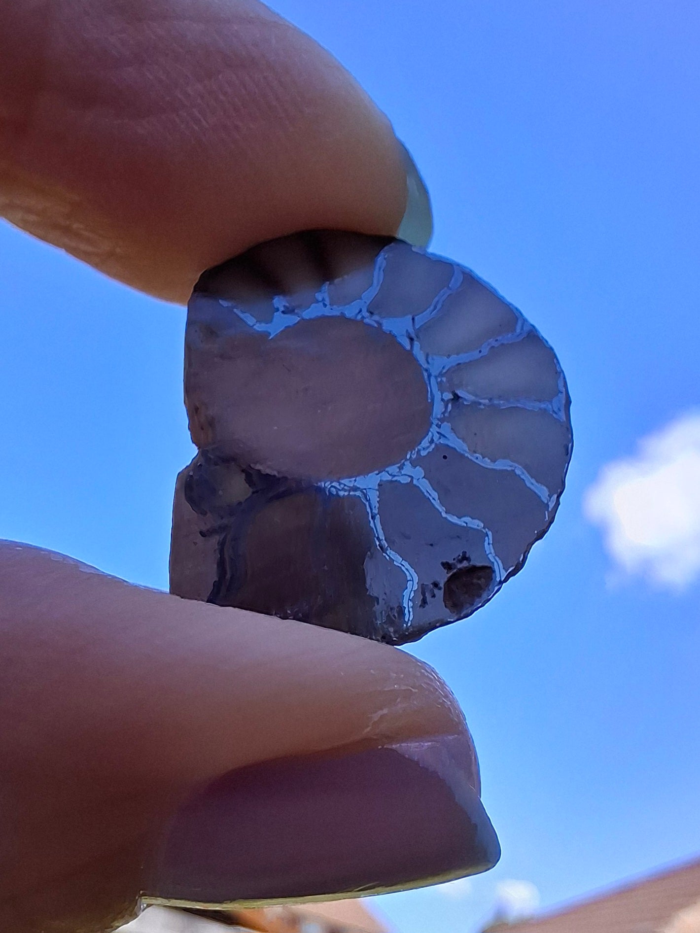 Small Haematite Ammonite HALF, 1.66g, Fossil (Ref: MA2)