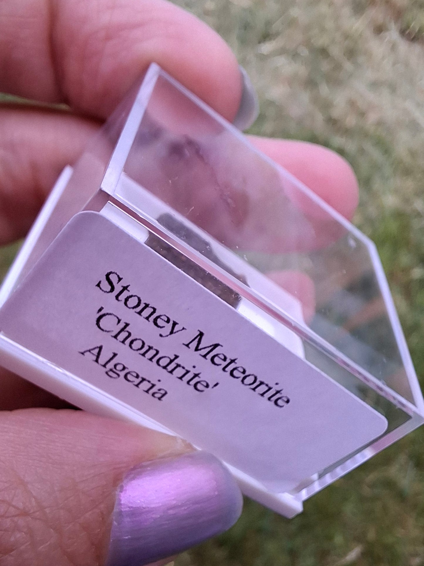Chondrite, Meteorite (Ref: CM8)