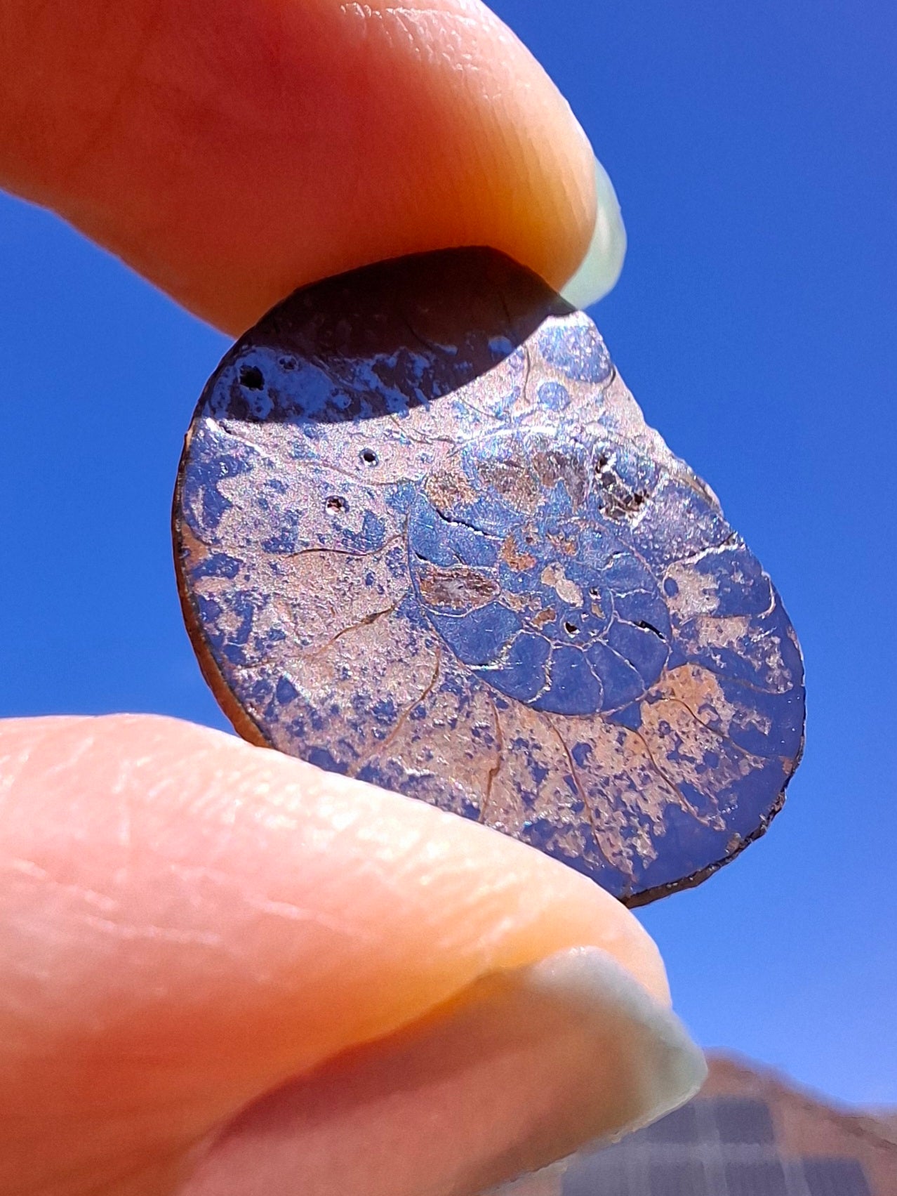 Small Haematite Ammonite HALF, 1.78g, Fossil (Ref: MA4)