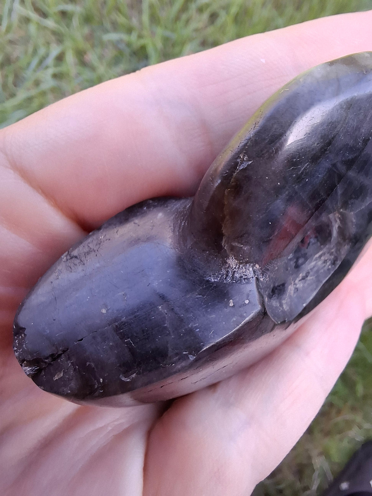 Labradorite Ammonite carving, 96.88g, Crystal (Ref: laba1)