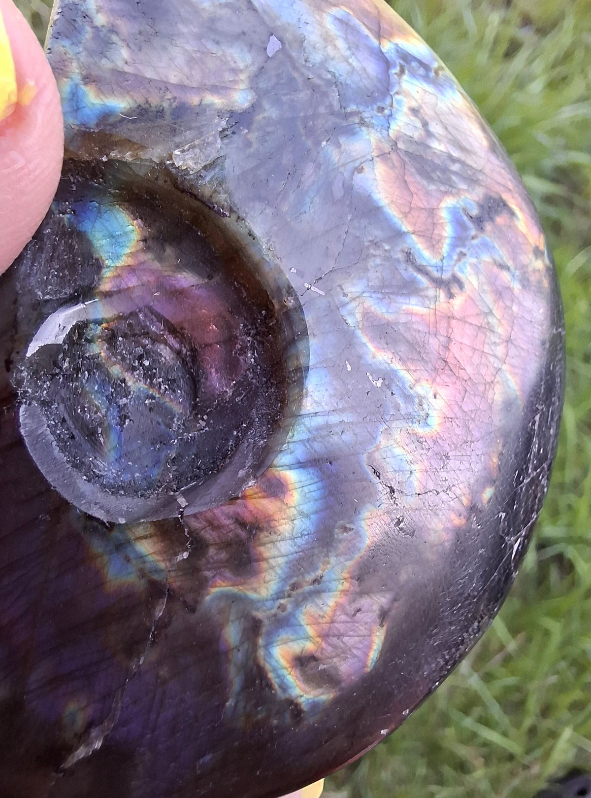 Labradorite Ammonite Carving, 89.31g, Crystal (Ref: laba6)
