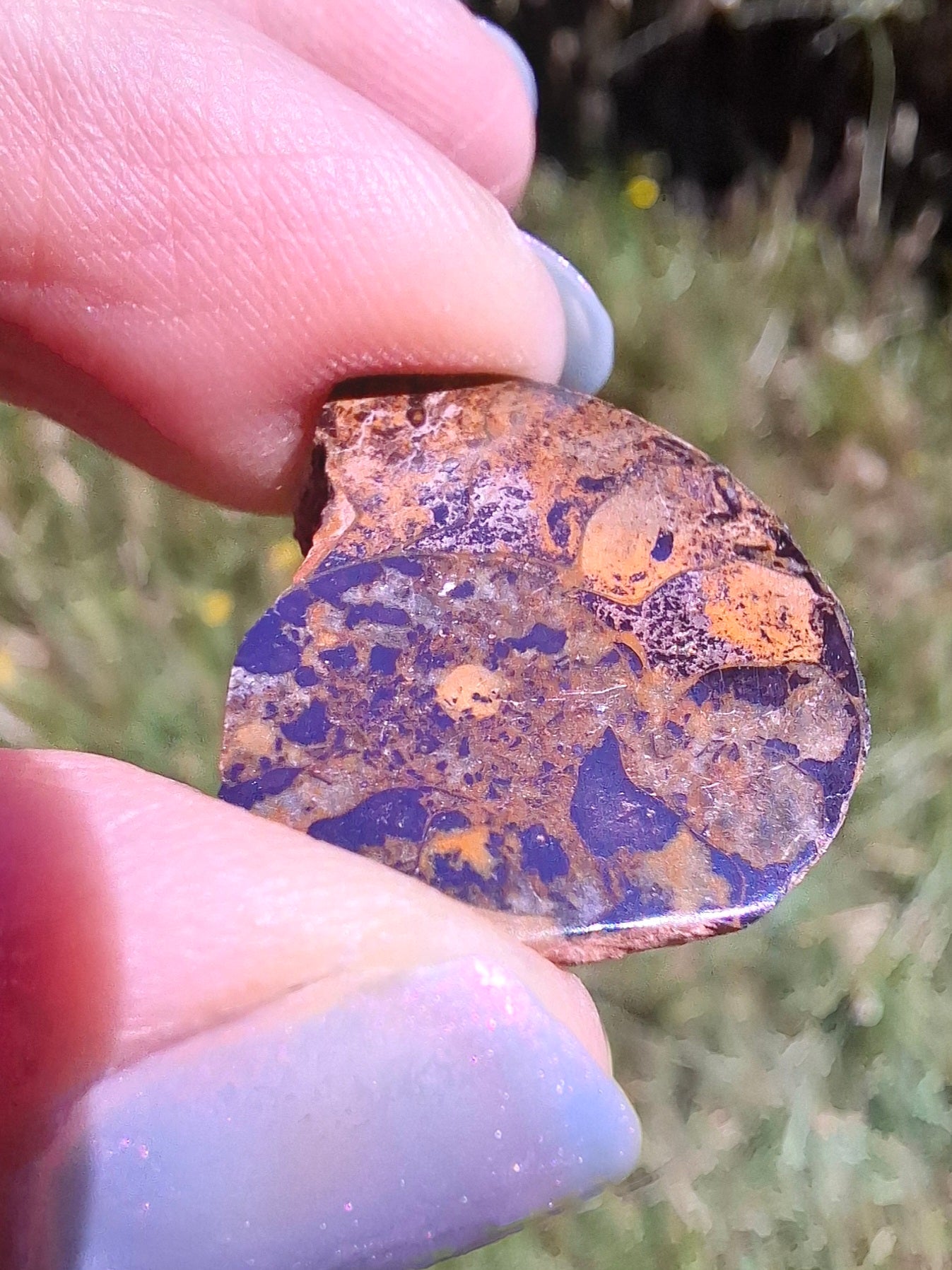 Small Haematite Ammonite HALF, 2.59g, Fossil (Ref: MA7)