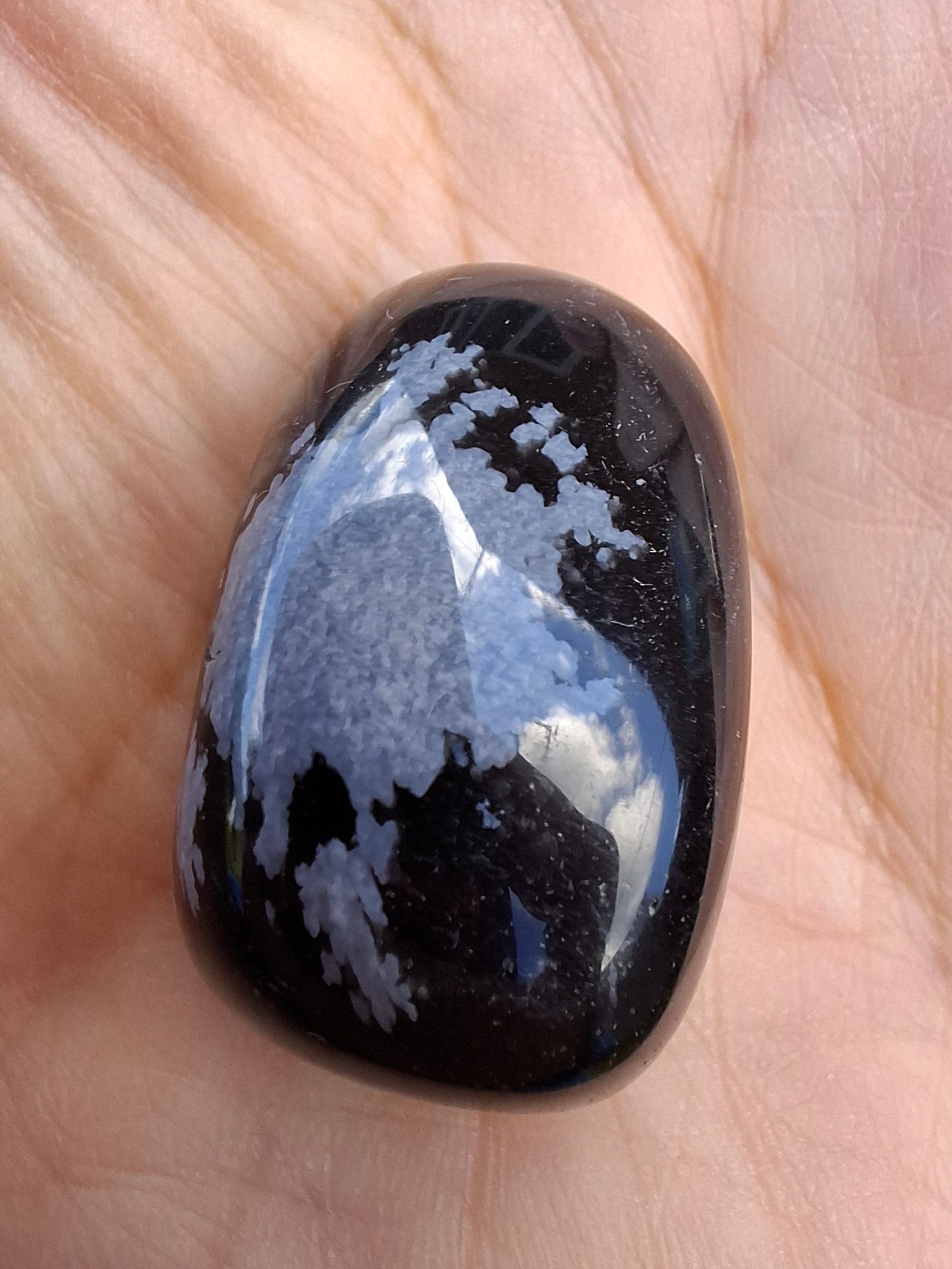 Snowflake Obsidian, Tumble Stone, Crystal (Ref: T99)