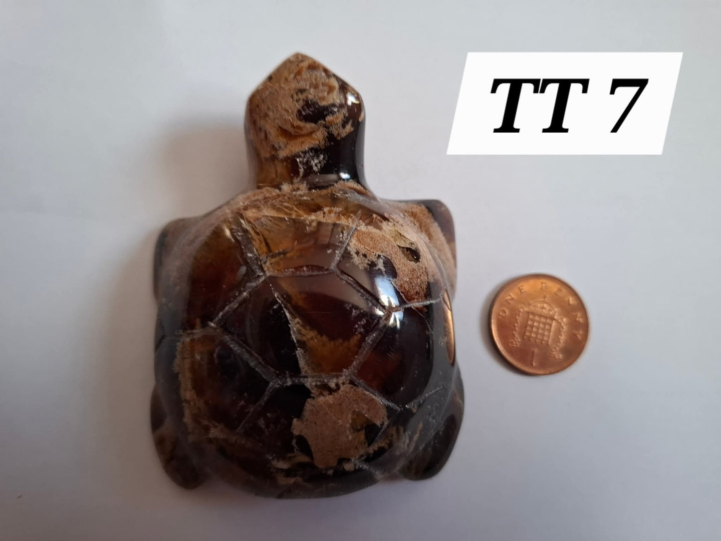 Red Amber Turtle, 56.87g, Carving, Fossil (Ref:TT7)