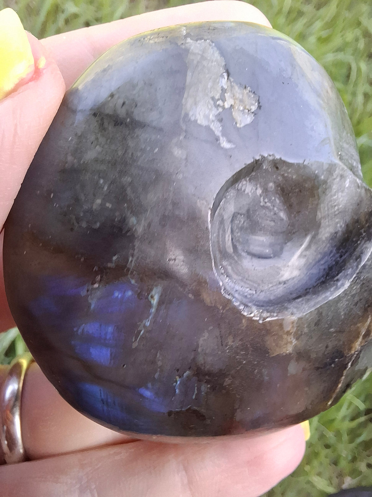 Labradorite Ammonite Carving, 146.90g, Crystal (Ref: laba5)