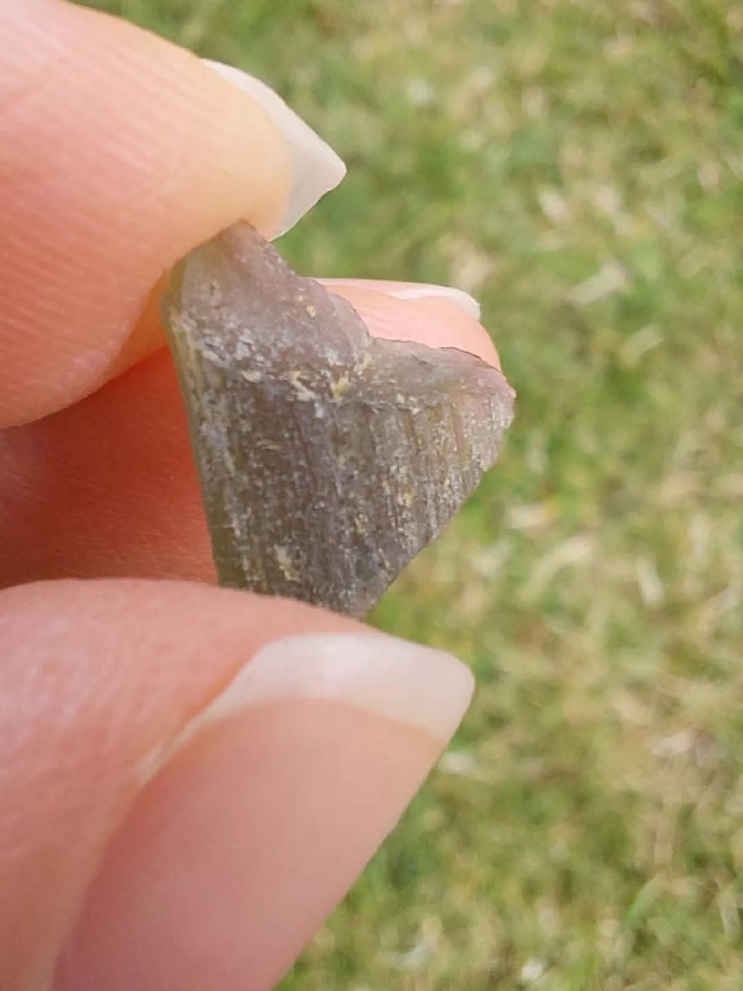 Moldavite Piece, 0.63g, Tektite (Ref: E174)
