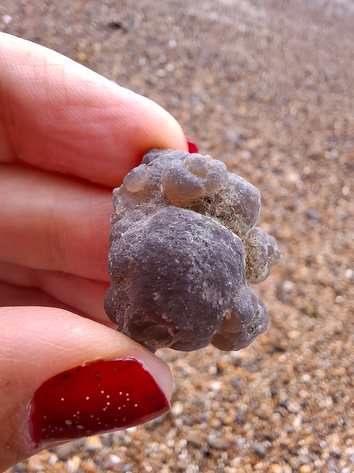 Nebula Chalcedony, 13.45g, Fossil (Ref: NC2)