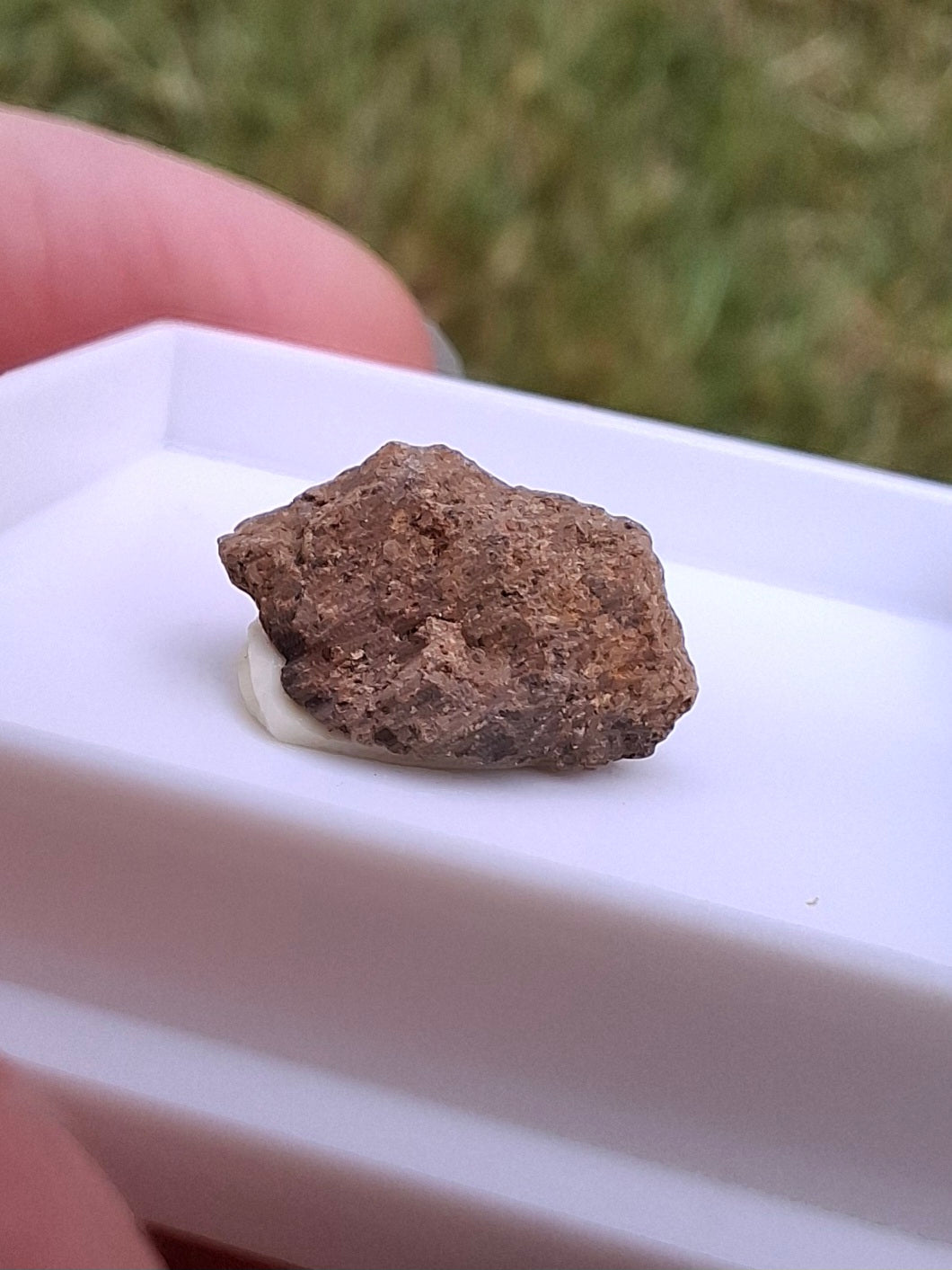 Chondrite, Meteorite (Ref: CM9)