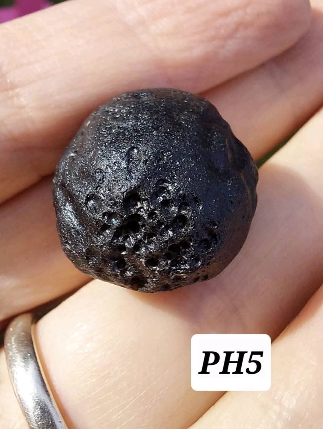 Philippinite (Rizalite), 11.31g, Tektite