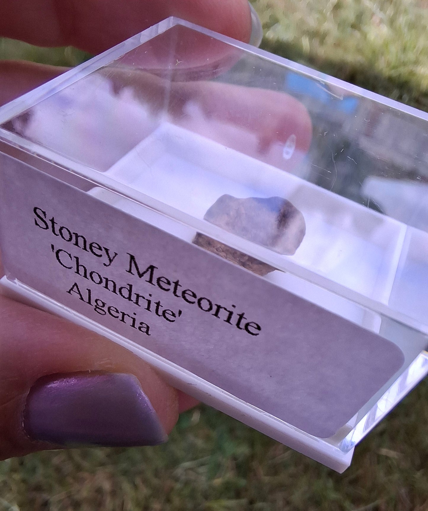 Chondrite, Meteorite (Ref: CM5)