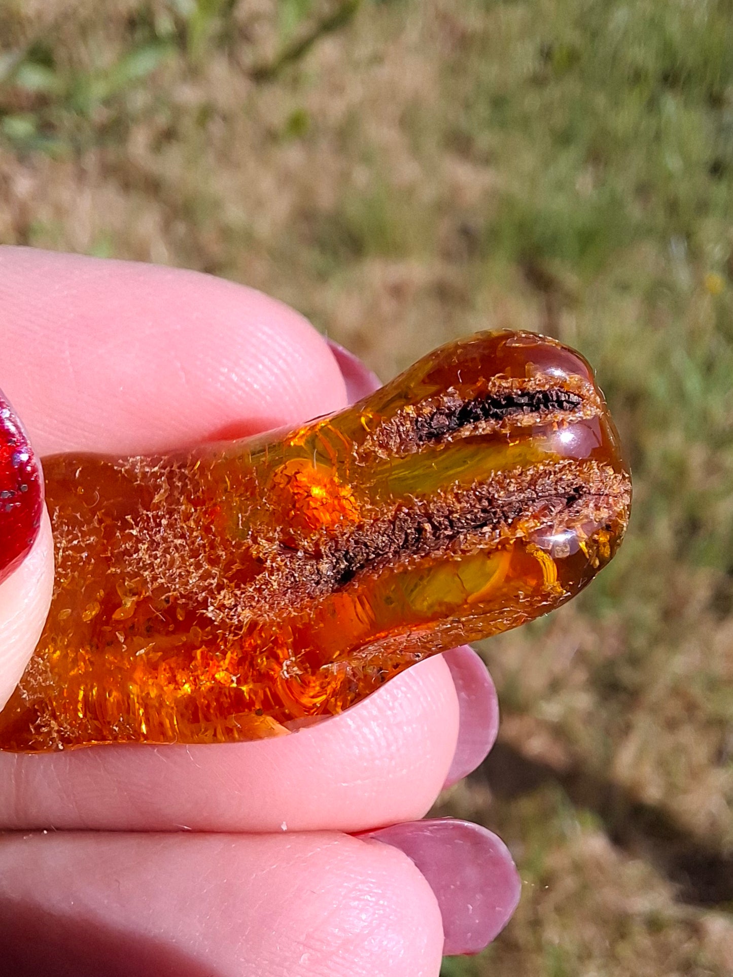 Baltic Amber, 2.95g, Fossil (Ref: A159)