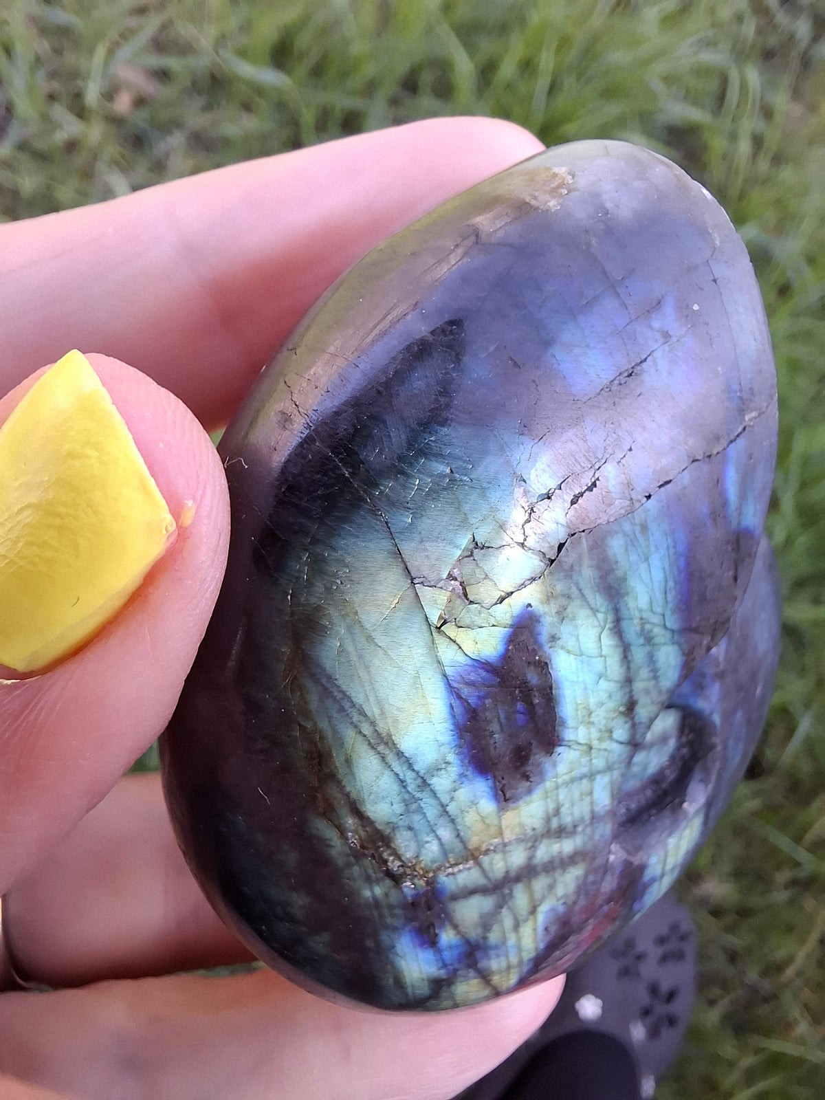 Labradorite Ammonite Carving, 111.66g, Crystal (Ref: laba3)