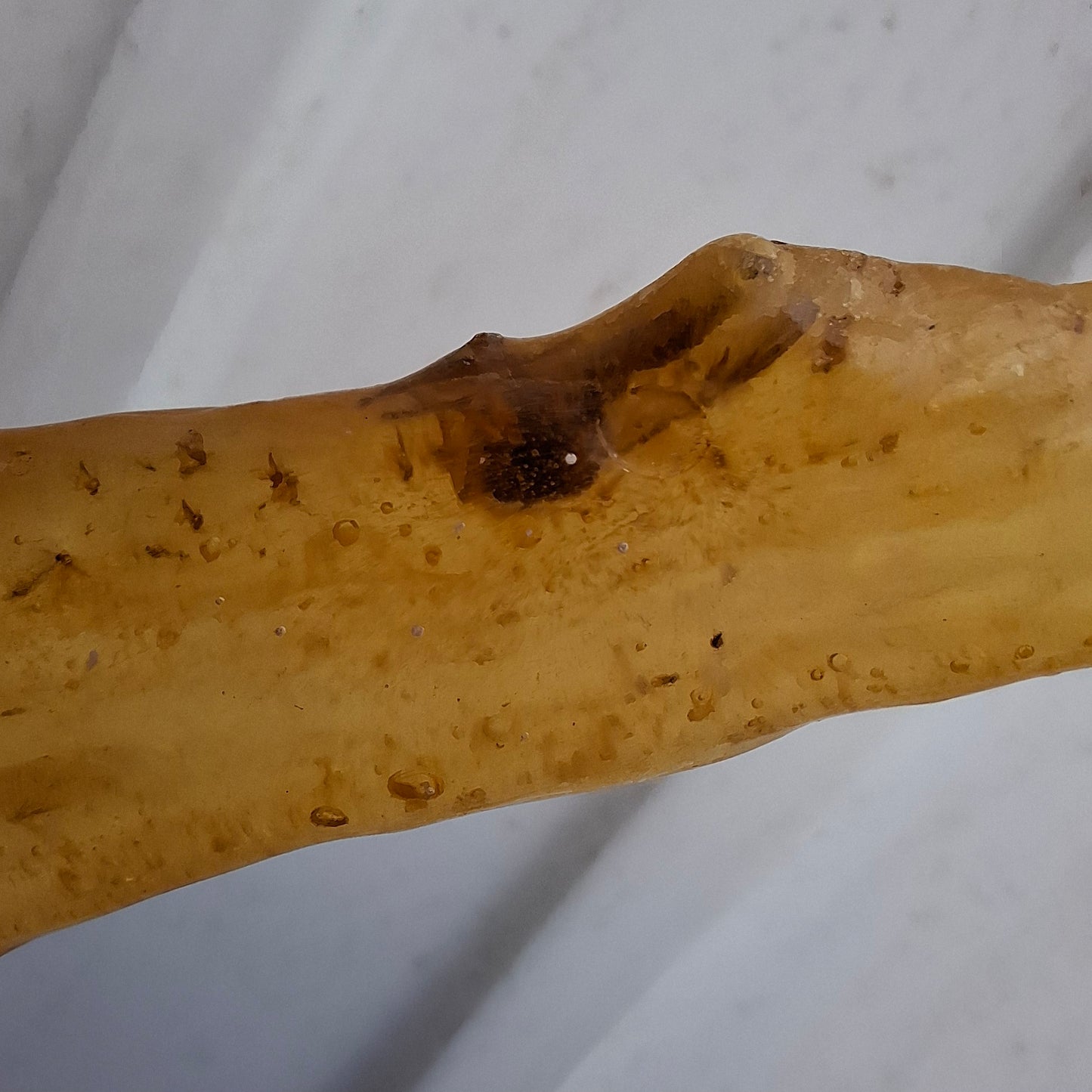 Copal Young Amber with INSECTS inside, 18.29g, Fossil (Ref: CA33)