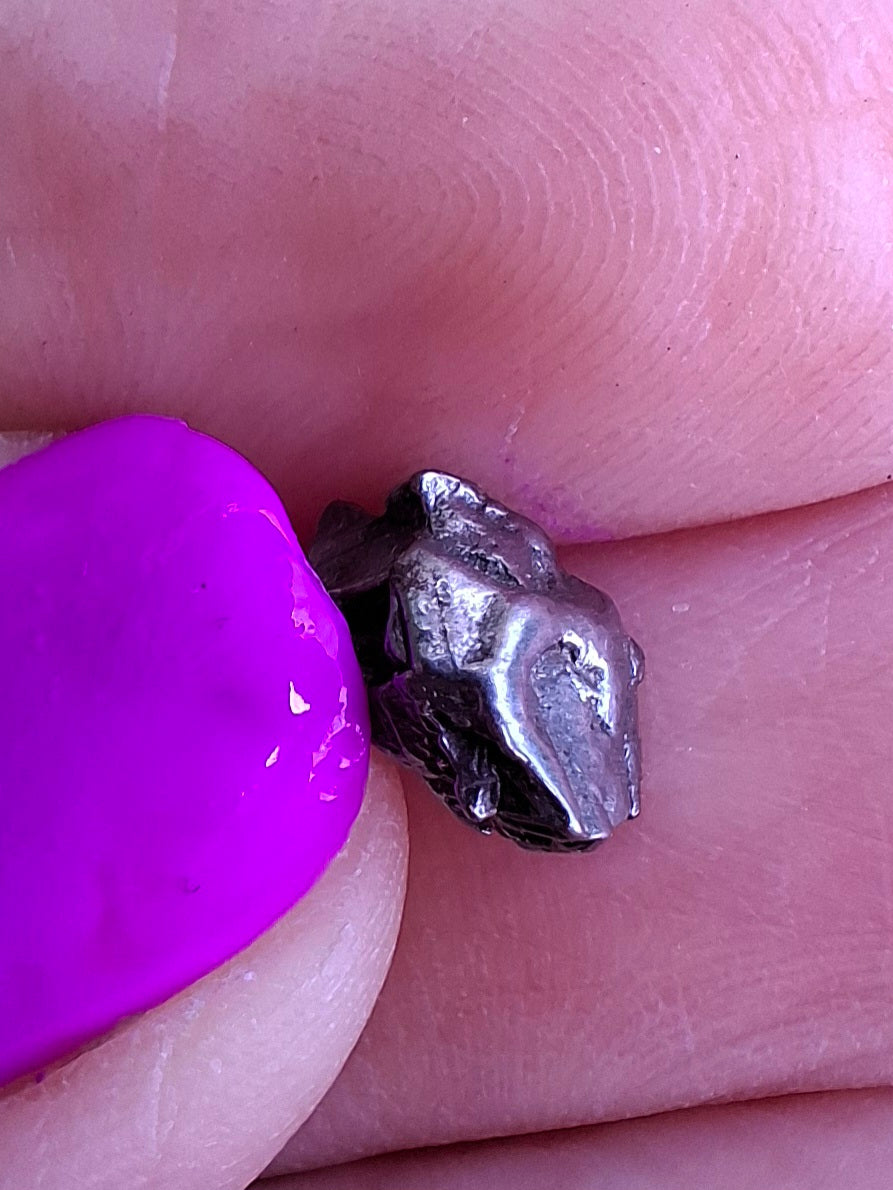 Campo del Cielo, 0.87g, Nickel Iron Meteorite (Ref: C4)