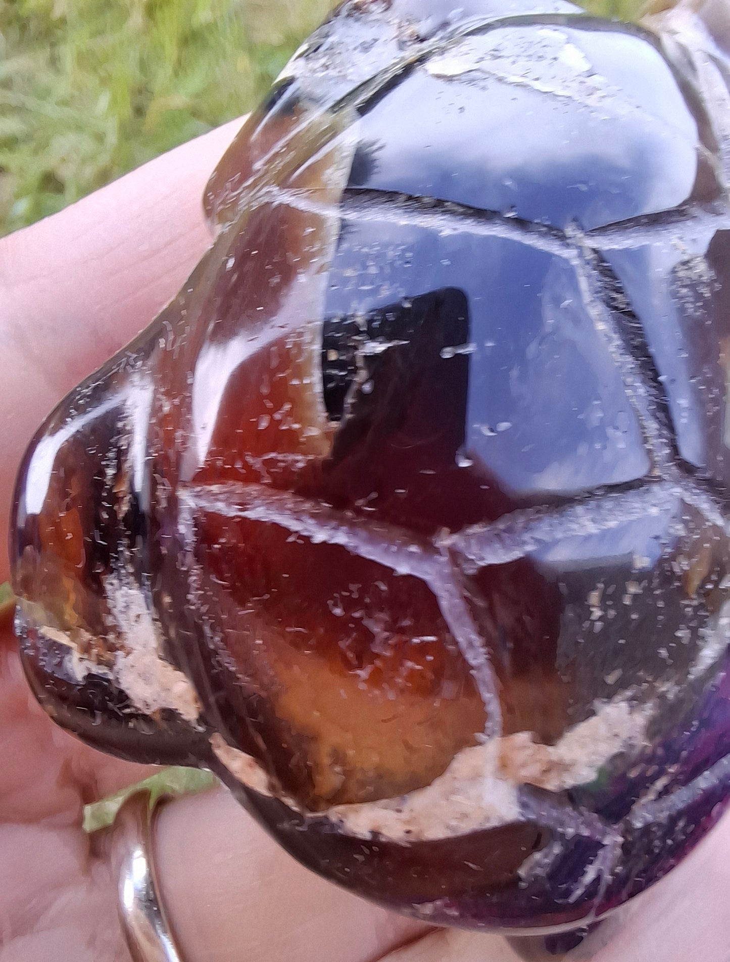 Red Amber Turtle, 50.00g, Carving, Fossil (Ref: TT6)