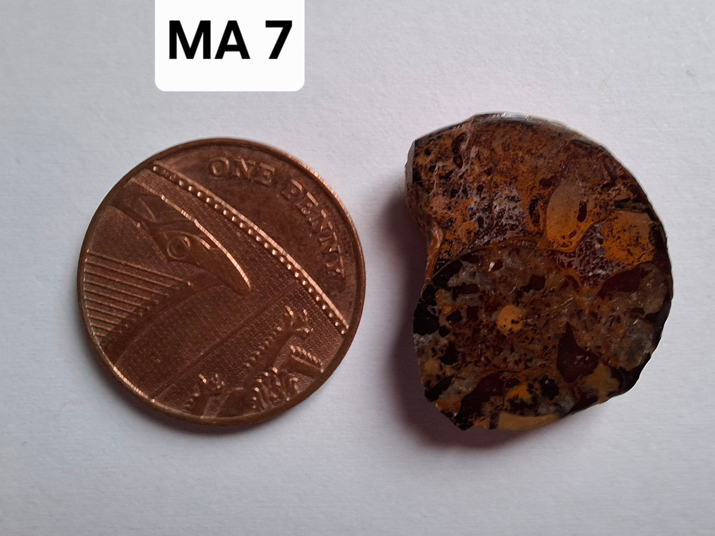 Small Haematite Ammonite HALF, 2.59g, Fossil (Ref: MA7)