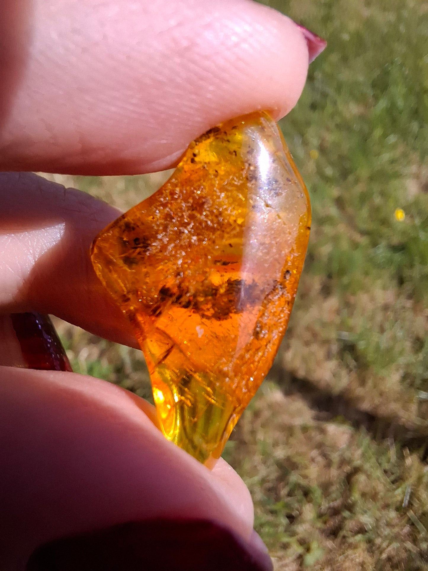 Baltic Amber, 1.25g, Fossil (Ref: A188)