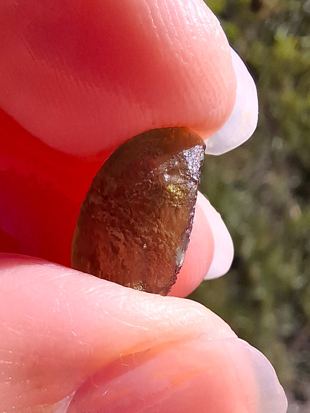 Moldavite Piece, 0.59g, Tektite (Ref: 1413)