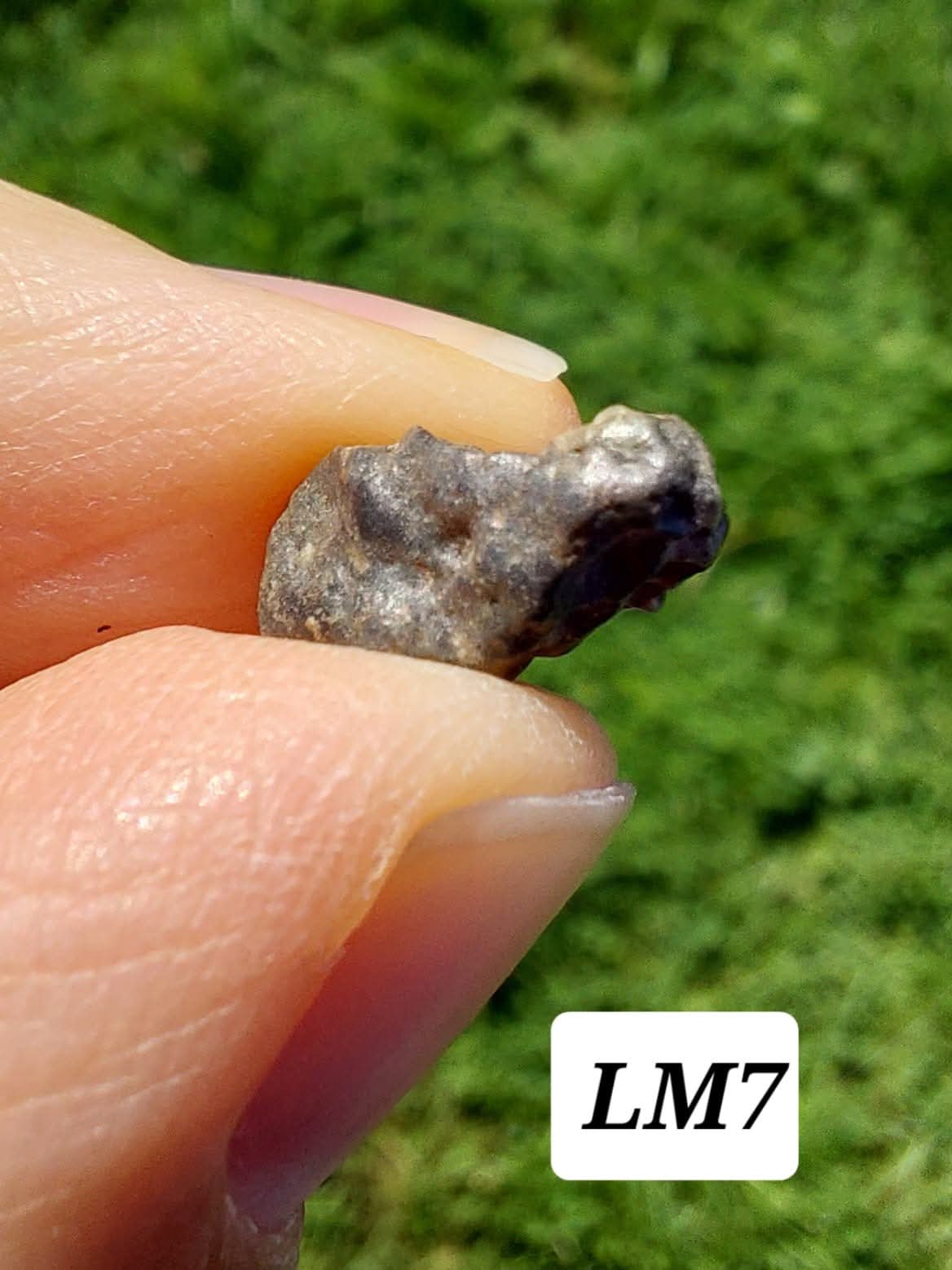 Lunar Meteorite, 0.83g, 'Moon Rock' (Ref: LM7)