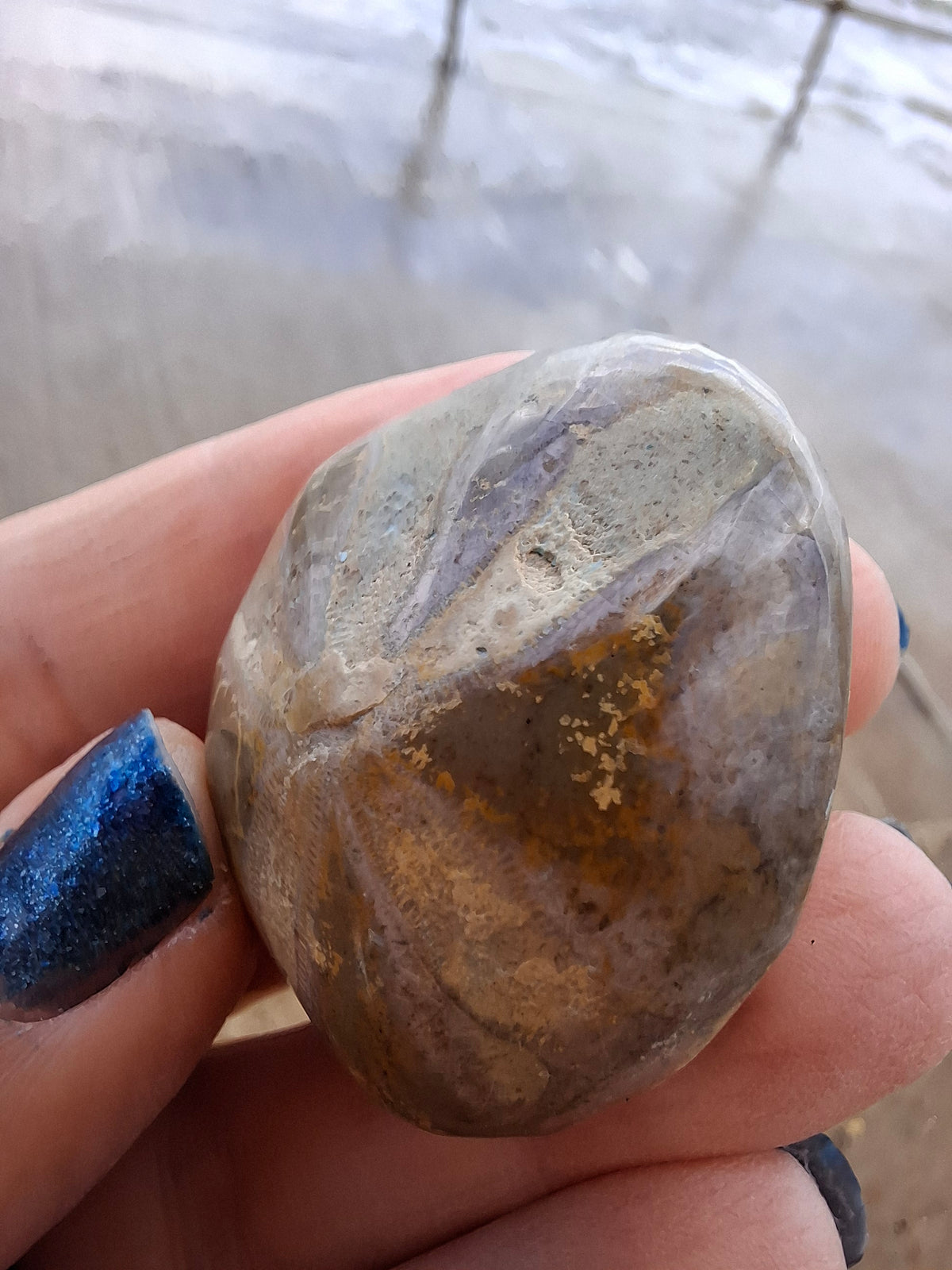 Polished Sea Urchin, Fossil (Ref: SU5)