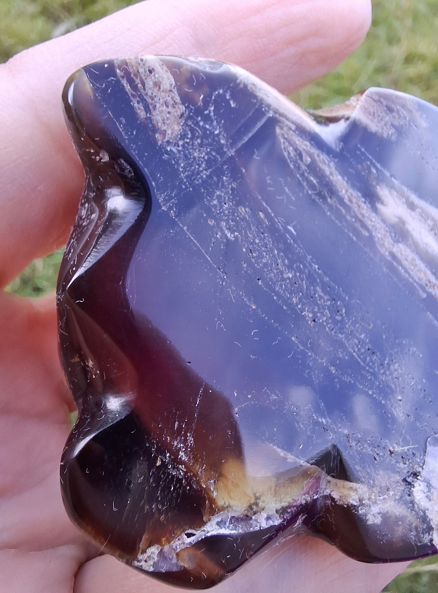 Red Amber Turtle, 50.00g, Carving, Fossil (Ref: TT6)