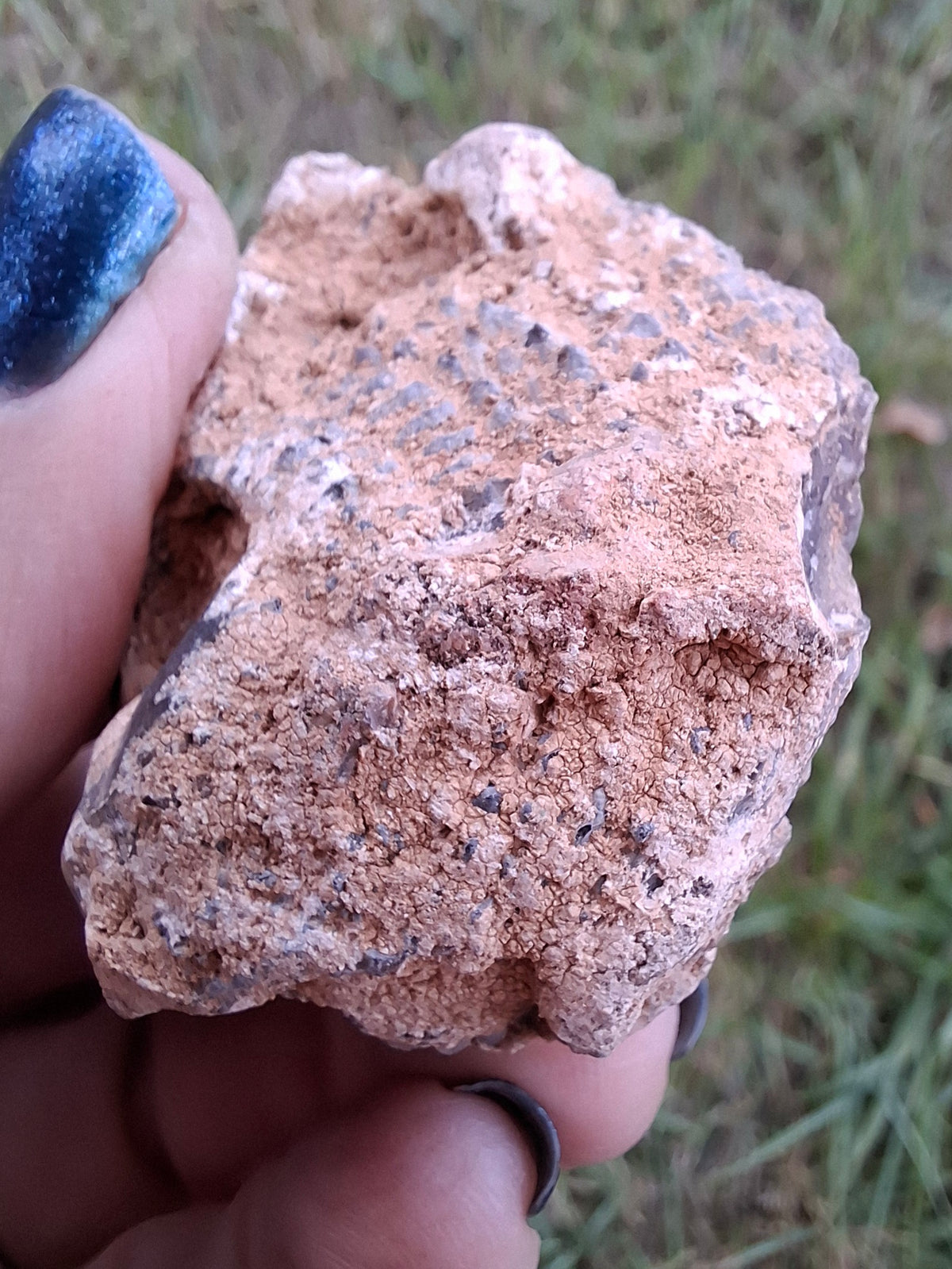 Chalcedony Oyster, Fossil (Ref: FO2)