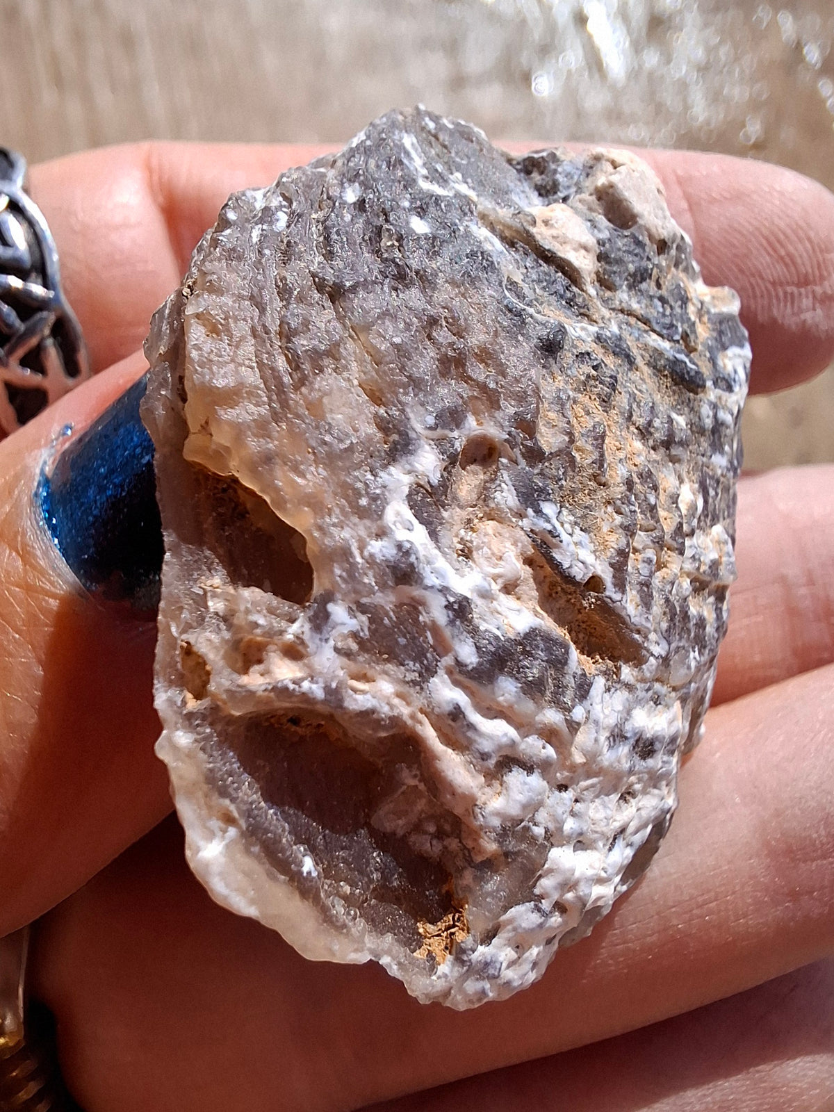 Chalcedony Oyster, Fossil (Ref: FO4)